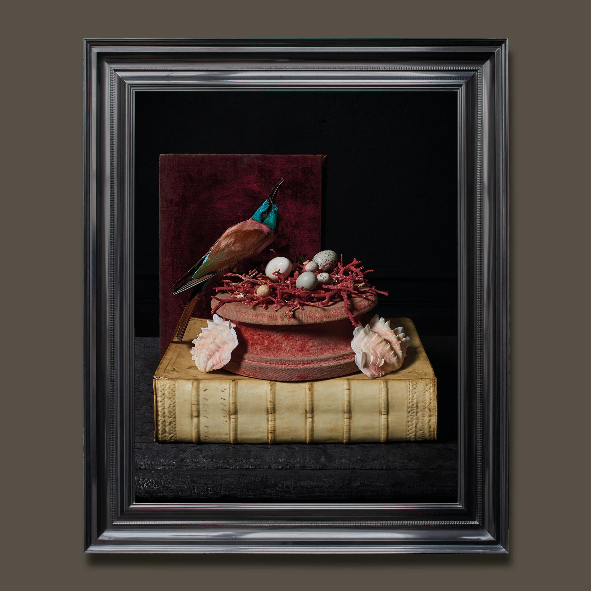 The third series of photographs by fine Taxidermists Sinke & Van Tongeren.

After observing and analysing so many 17th century paintings, they were inspired to create a new series of work focused on still life masterpieces. They chose photography