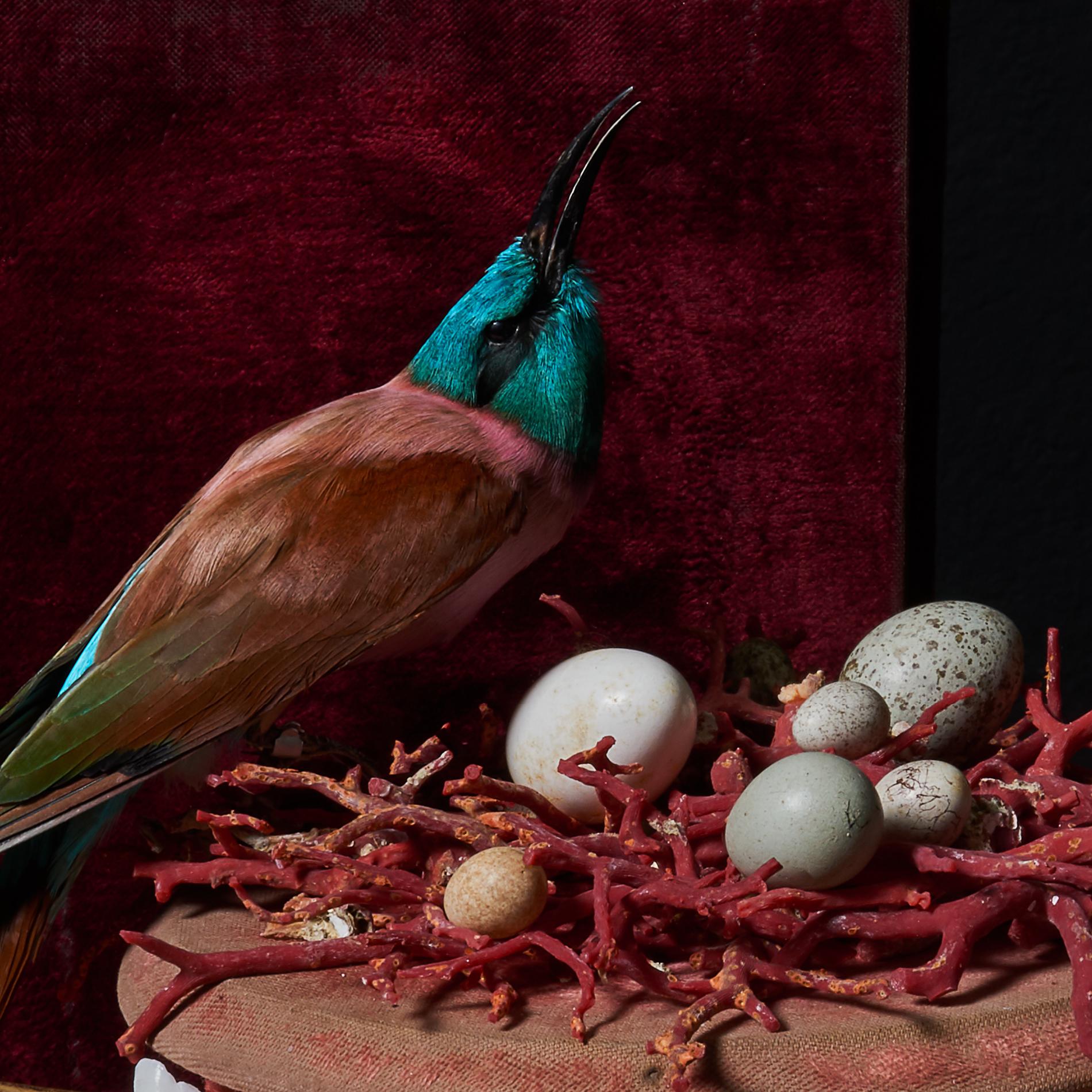 Renaissance ‘Les Peintures des Taxidermistes’ No. 1. Art Print Photo by Sinke & Van Tongeren For Sale