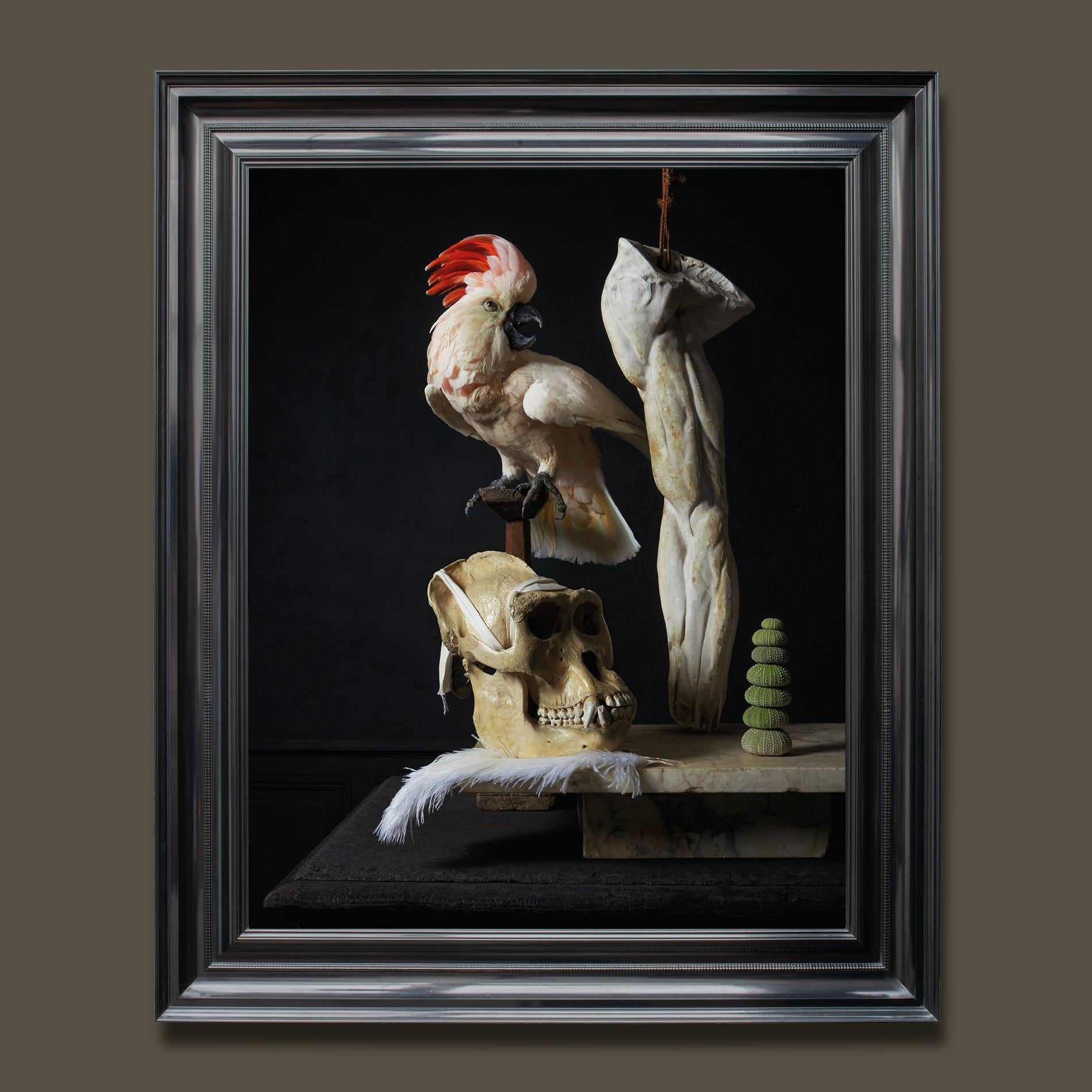 ‘Les Peintures des Taxidermistes’ No. 1. Art Print Photo by Sinke & Van Tongeren In Excellent Condition For Sale In Haarlem, NL