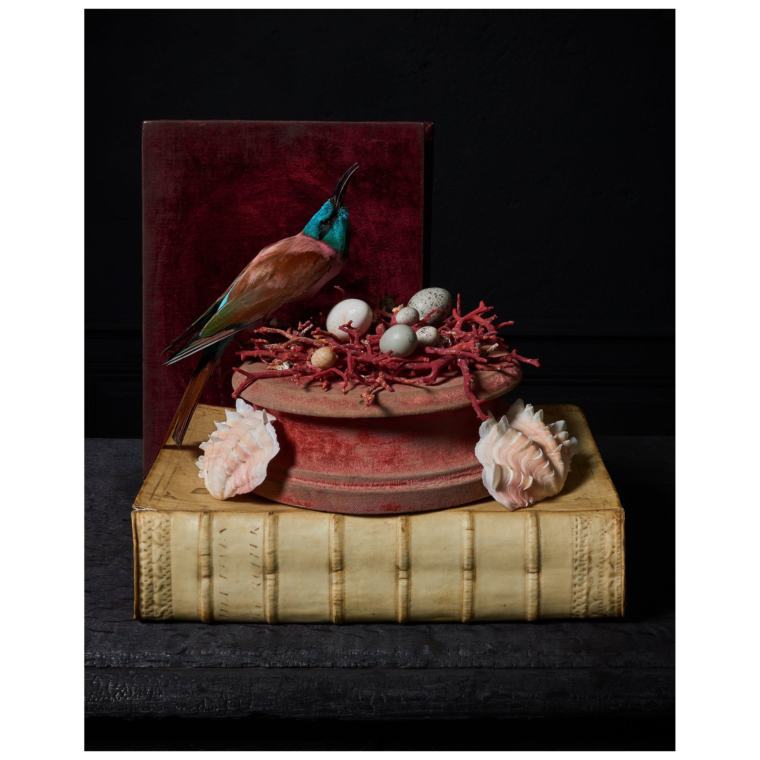 ‘Les Peintures des Taxidermistes’ No. 1. Art Print Photo by Sinke 
Van Tongeren For Sale