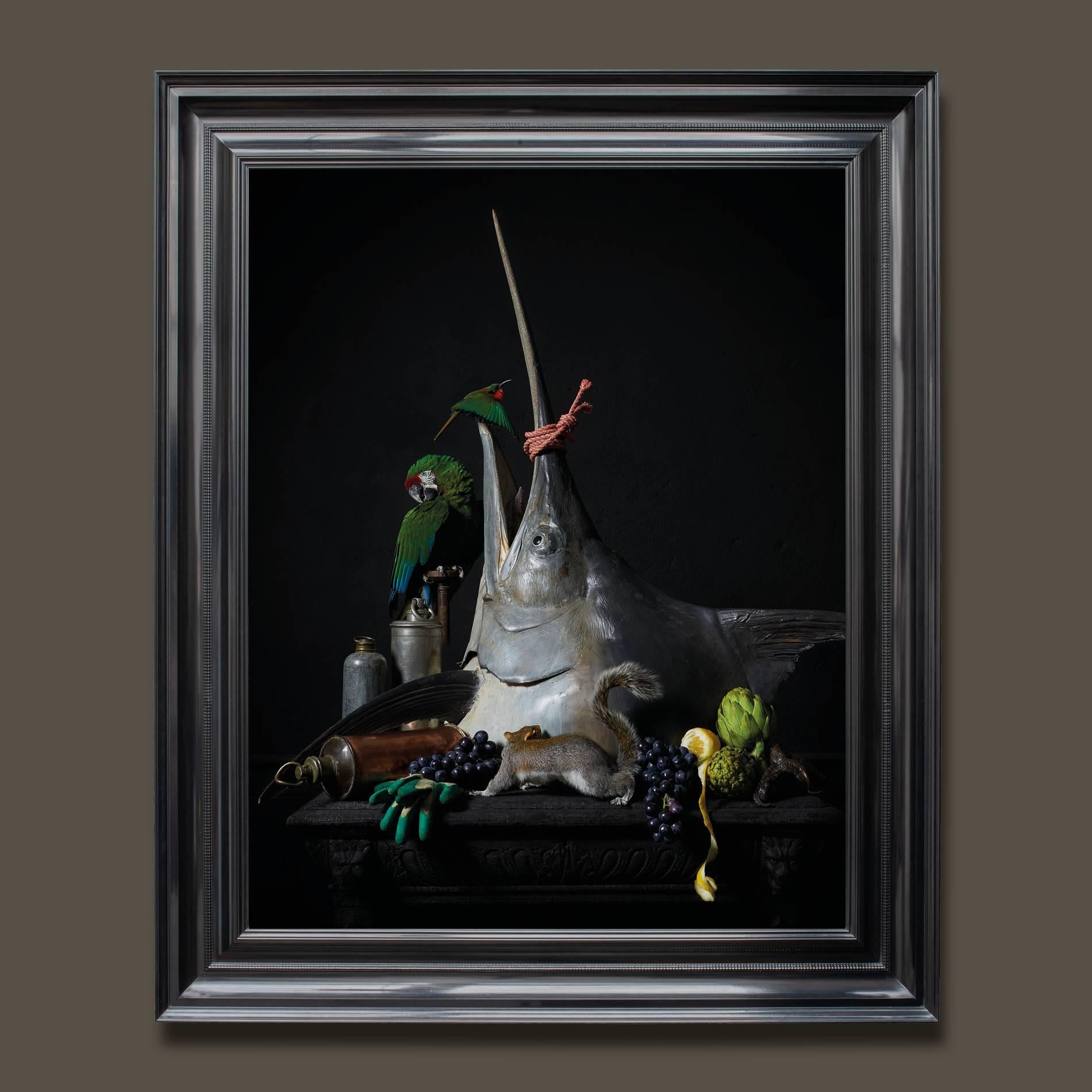 Dutch ‘Les Peintures des Taxidermistes’ No. 3, Art Print Photo by Sinke & Van Tongeren For Sale