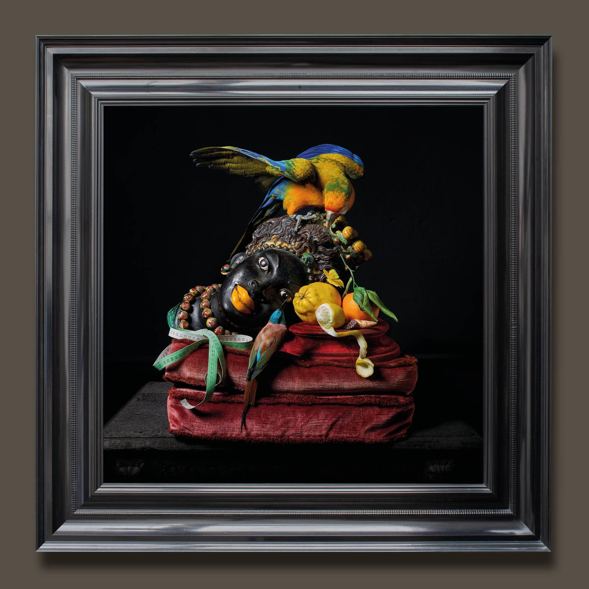 ‘Les Peintures des Taxidermistes’ No. 4. Art Print Photo by Sinke & Van Tongeren For Sale 1