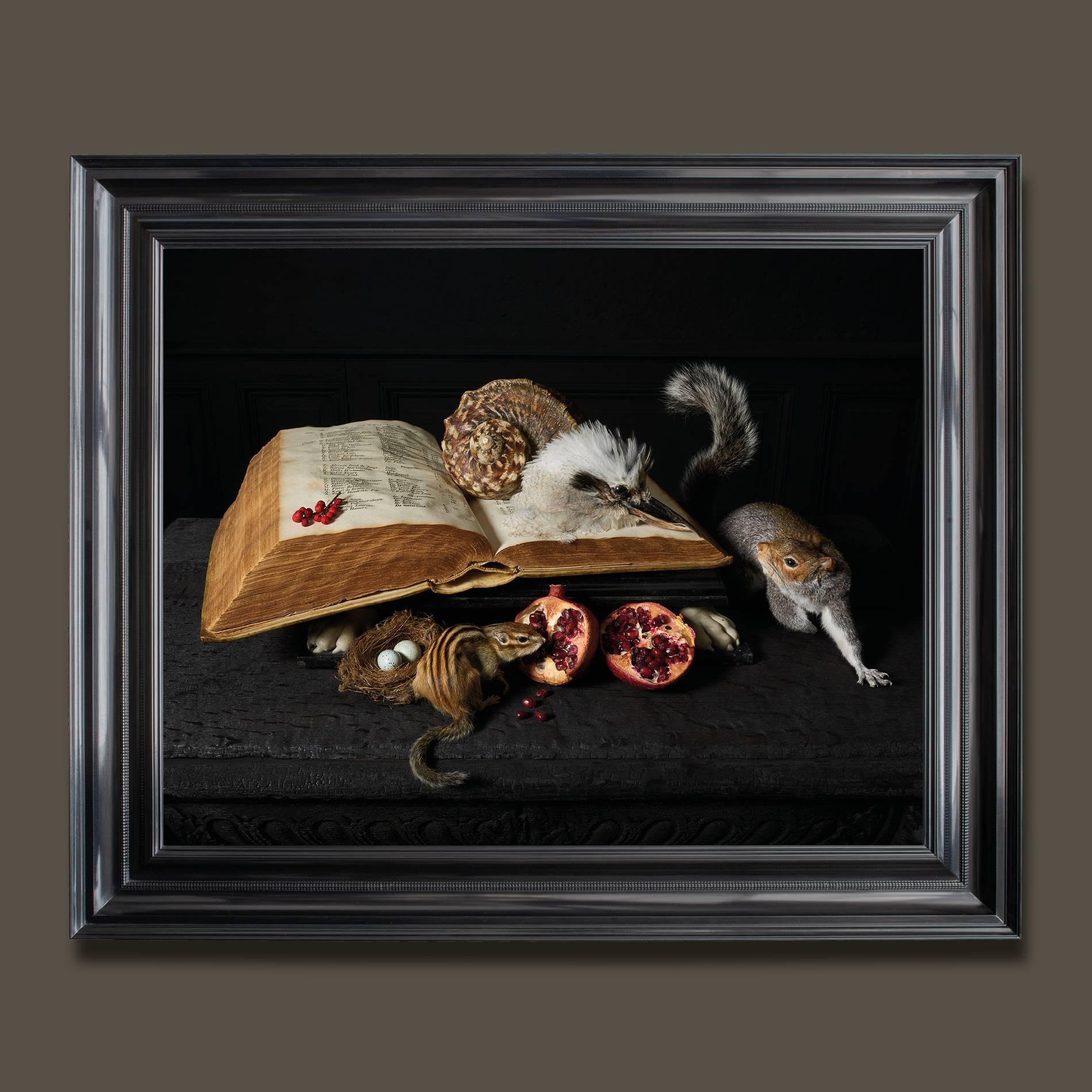 The third series of photographs by fine Taxidermists Sinke & Van Tongeren

After observing and analysing so many 17th century paintings, they were inspired to create a new series of work focused on still life masterpieces. They chose photography as