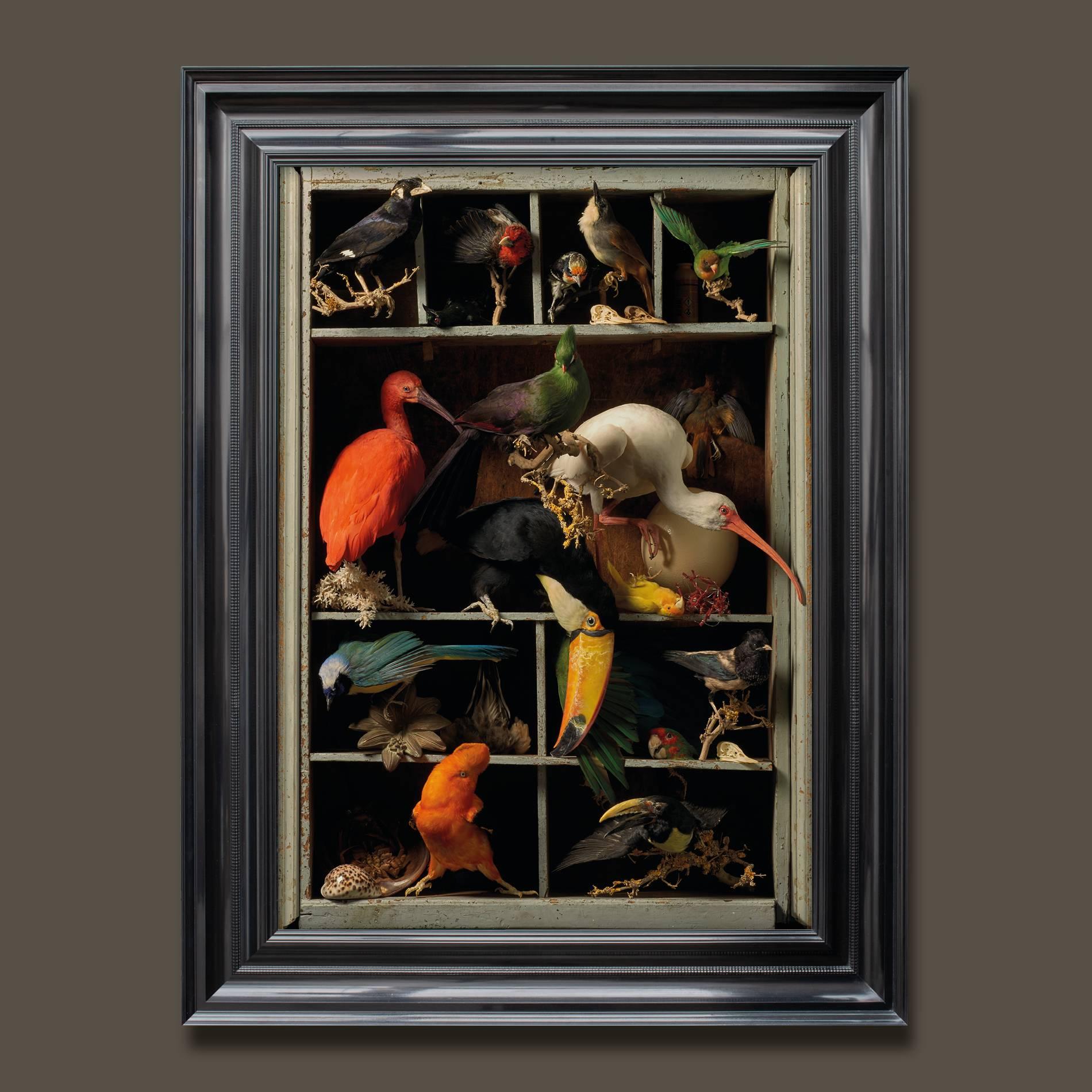 The third series of photographs by fine Taxidermists Sinke & Van Tongeren

After observing and analysing so many 17th century paintings, they were inspired to create a new series of work focused on still life masterpieces. They chose photography as