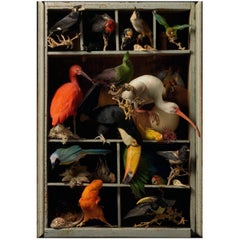 Photo d'impression d'art « Les Peintures des Taxidermistes » n°6 de Sinke & Van Tongeren