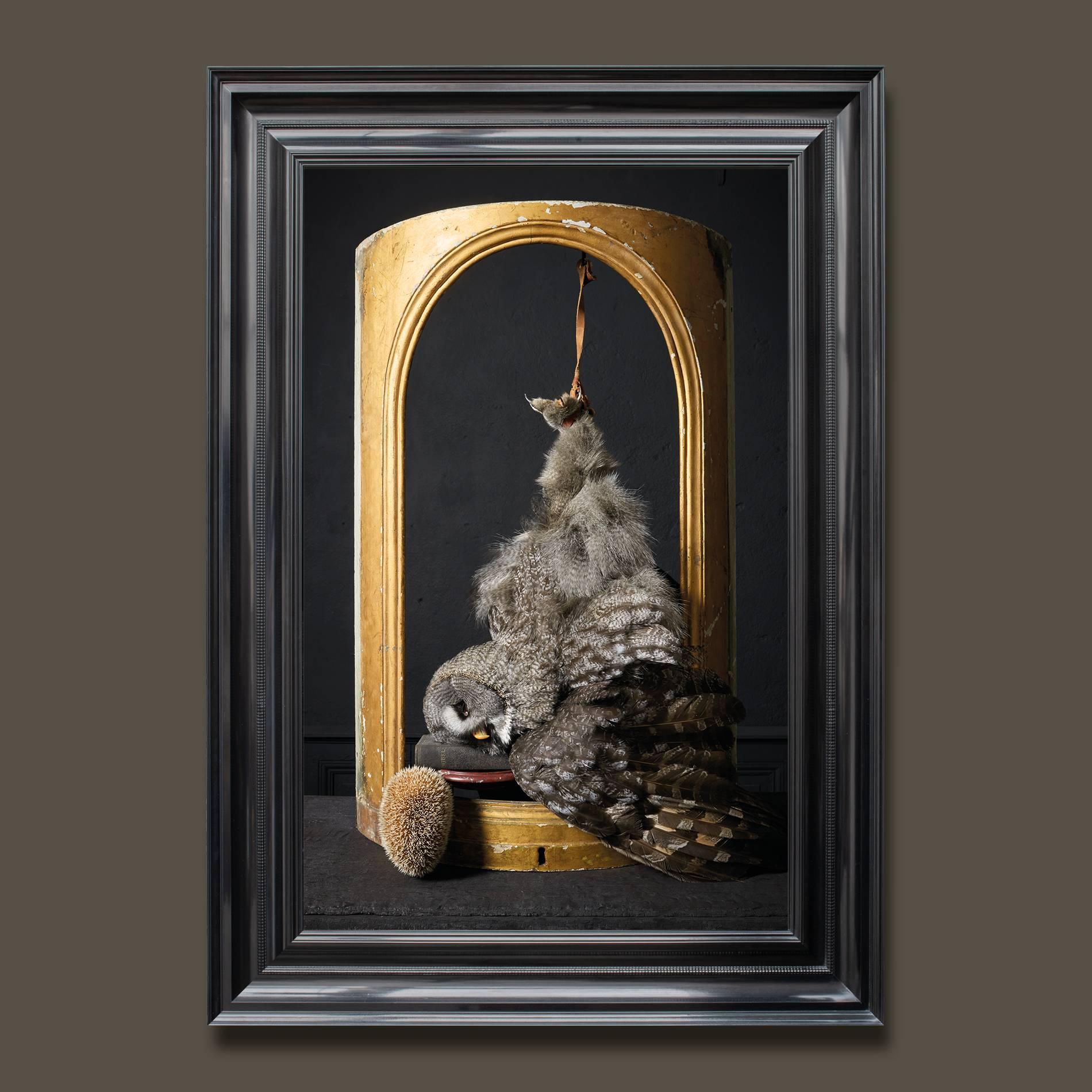 The third series of photographs by fine Taxidermists Sinke & Van Tongeren

After observing and analysing so many 17th-century paintings, they were inspired to create a new series of work focused on still life masterpieces. They chose photography as