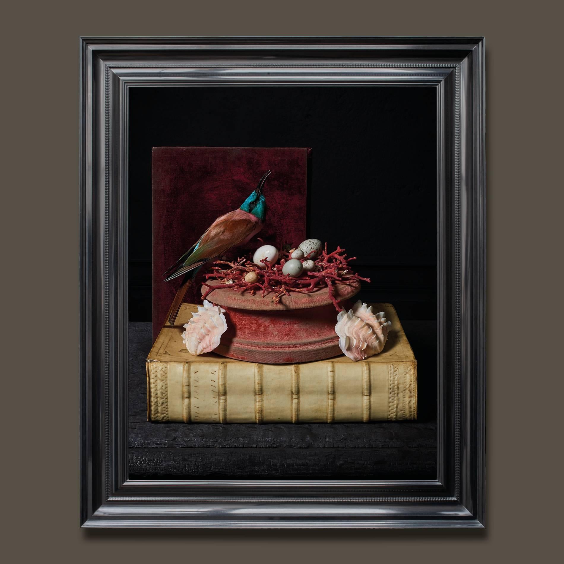 Renaissance ‘Les Peintures des Taxidermistes’ No.7. Art Print Photo by Sinke & Van Tongeren For Sale