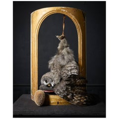 „Les Peintures des Taxidermistes“ Nr.7. Kunstdruck Foto von Sinke & Van Tongeren