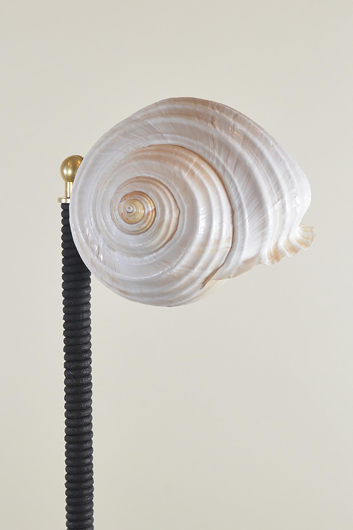 “Venus favors the bold.” —Ovid

L’Escargot Lamp is the latest release from the Venus Collection, a whimsical family of handmade fixtures inspired by the Surrealists and the natural forms of the sea. Employing the most recent advances in