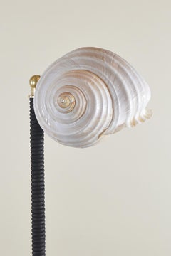 ‘L’Escargot Lamp’ in Coiled Black Leather with Natural Sea Snail Shade