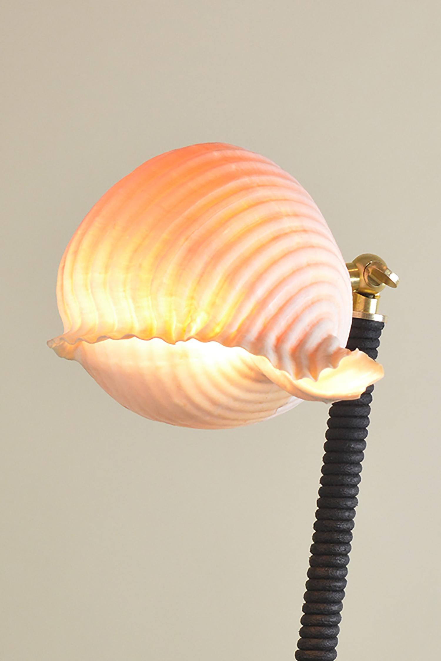 Modern ‘L’Escargot Lamp’ in Coiled Black Leather with Natural Sea Snail Shade For Sale