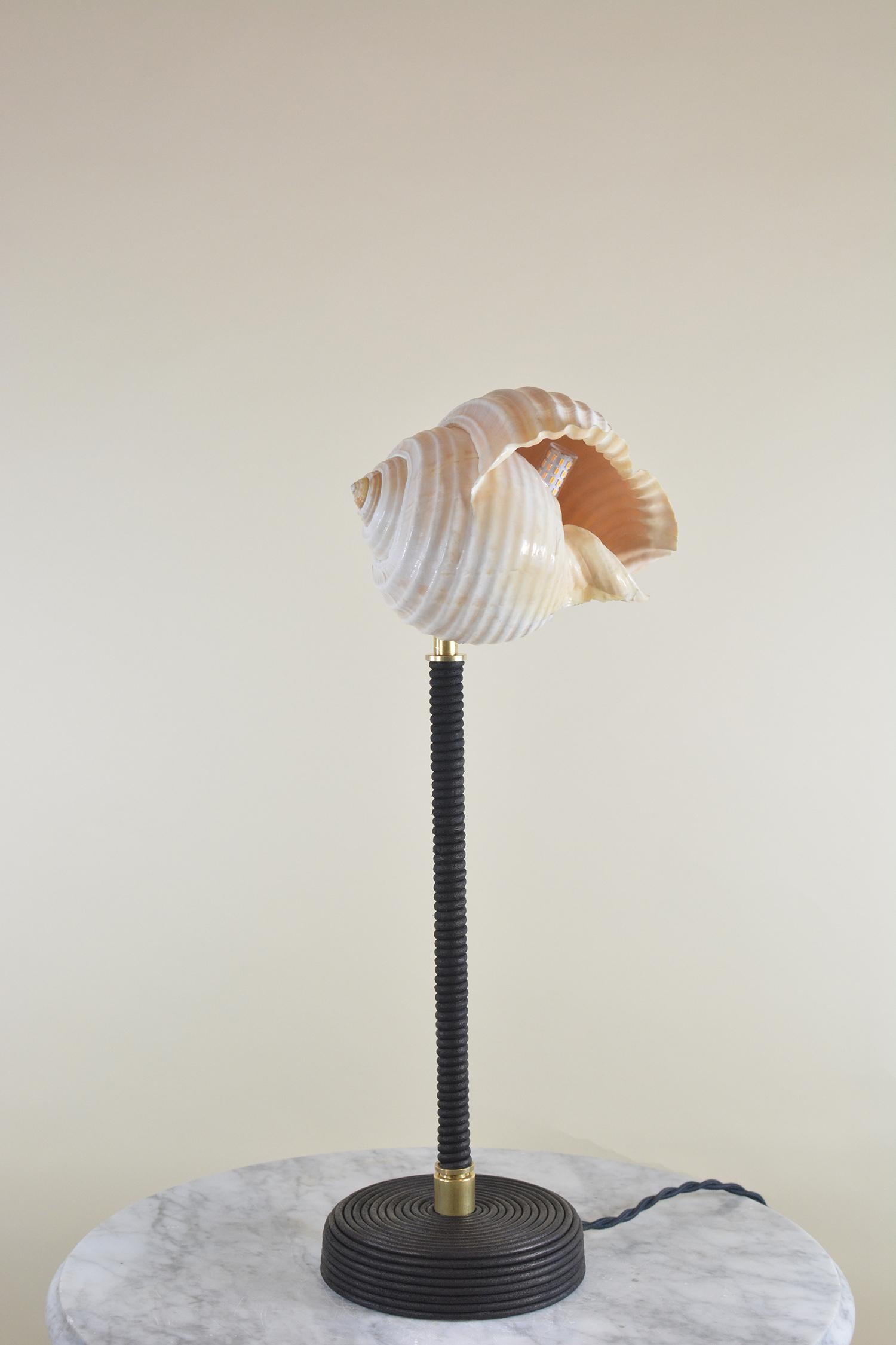 Américain Lampe 'L'Escargot' en cuir noir spiralé avec abat-jour en escargot de mer naturel en vente