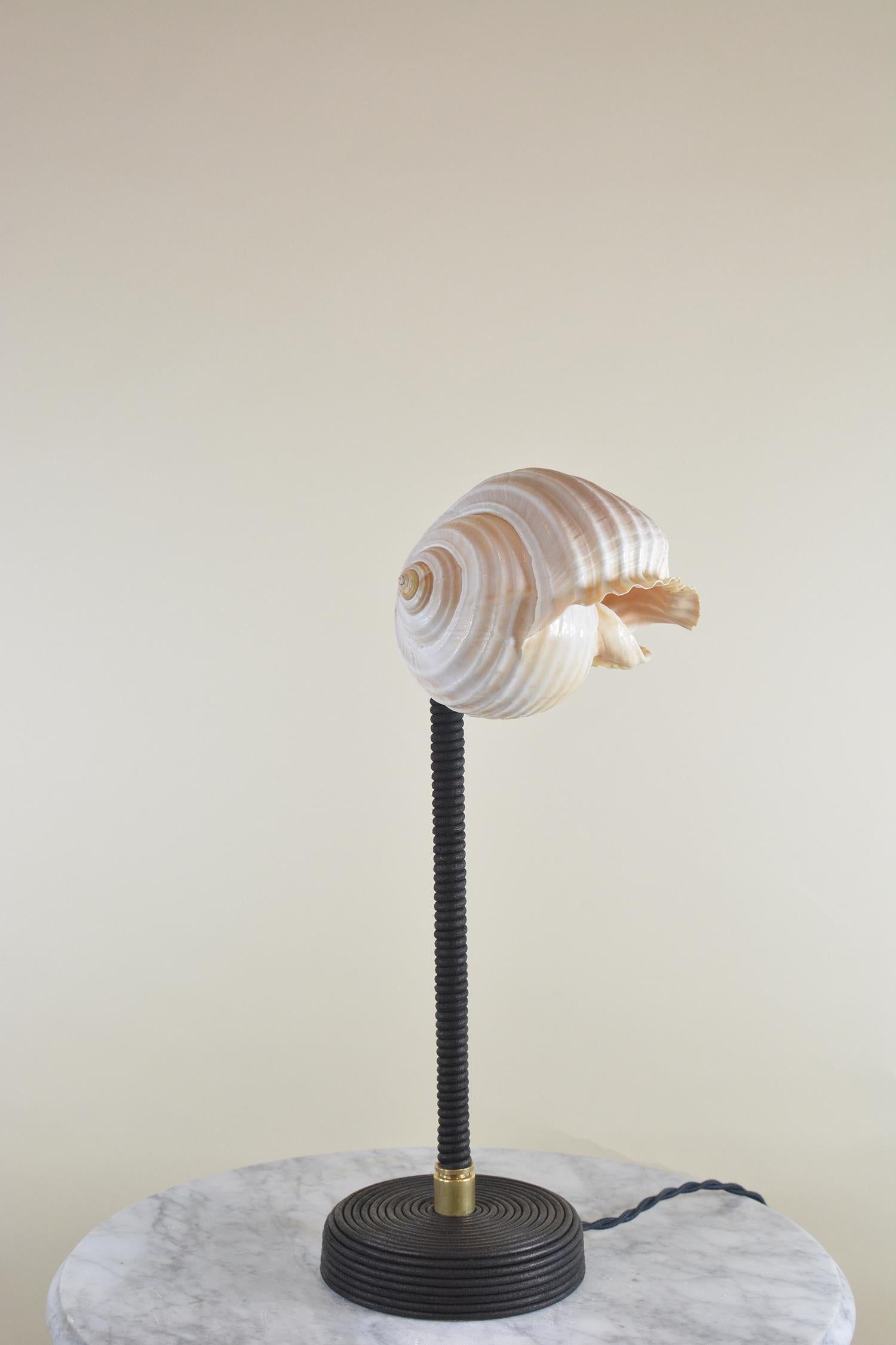 Hand-Crafted ‘L’Escargot Lamp’ in Coiled Black Leather with Natural Sea Snail Shade For Sale