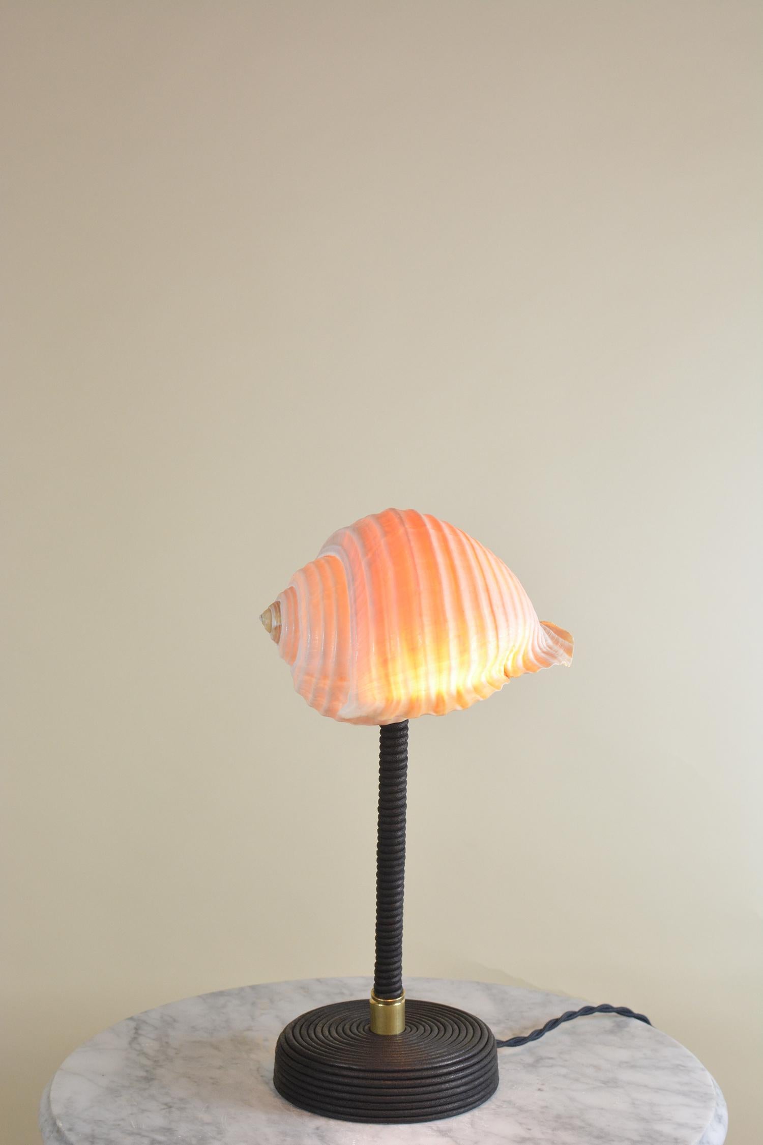 ‘L’Escargot Lamp’ in Coiled Black Leather with Natural Sea Snail Shade For Sale 1