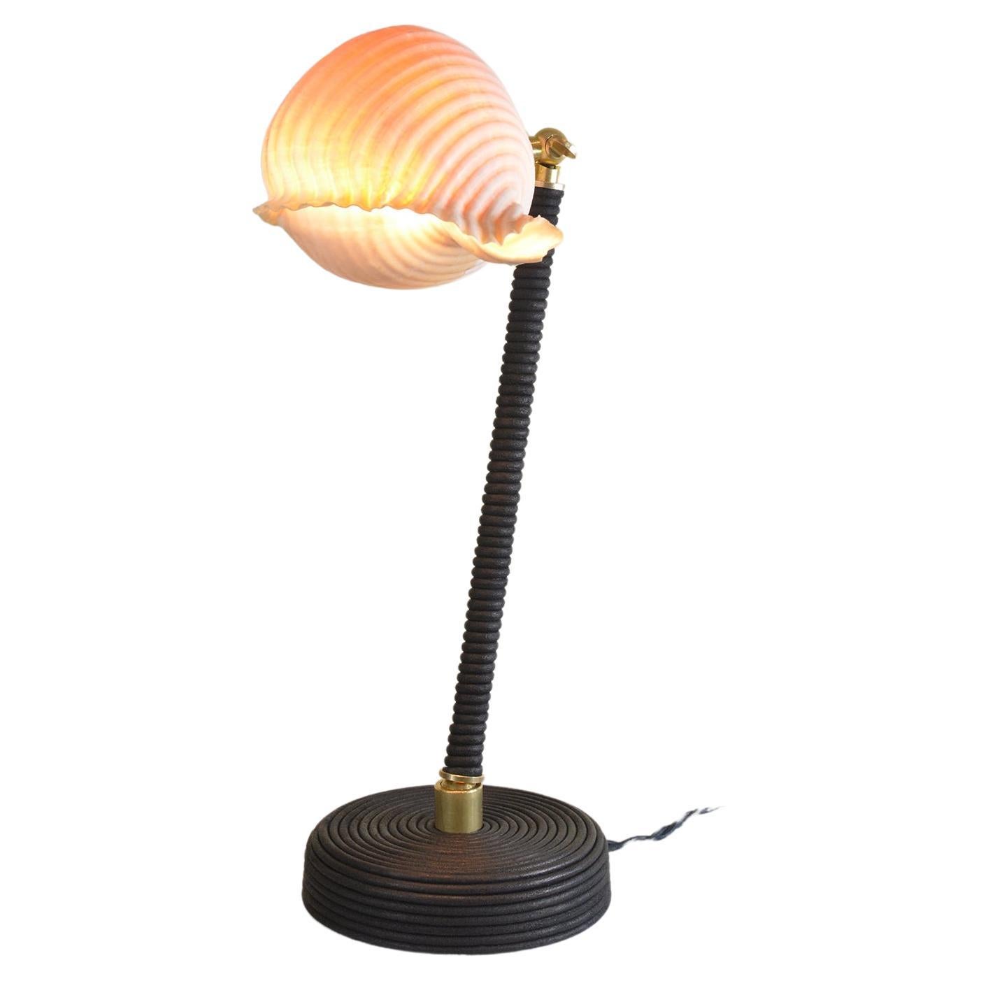 ‘L’Escargot Lamp’ in Coiled Black Leather with Natural Sea Snail Shade For Sale