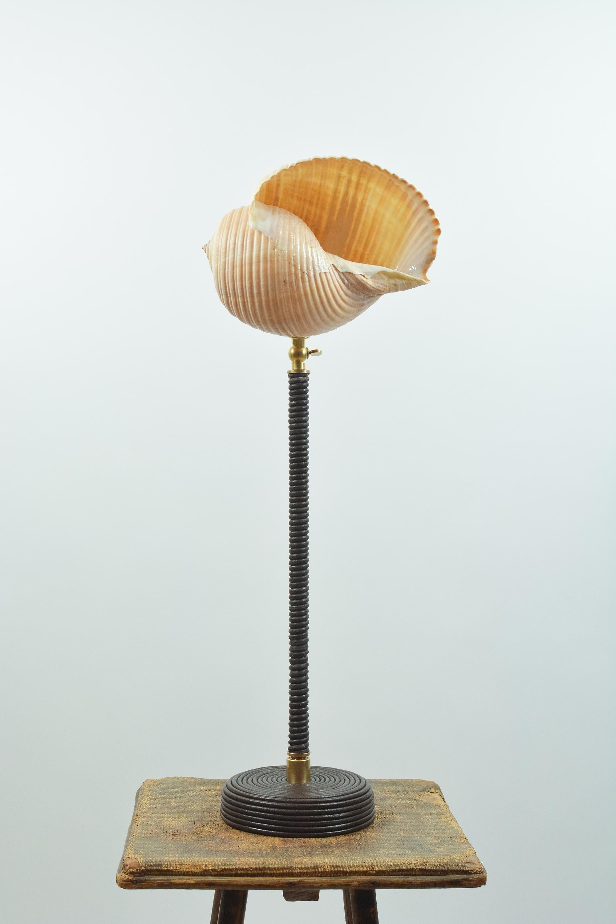 L'Escargot Lampe à poser en cuir Brown enroulé avec abat-jour en escargot de mer naturel en vente 2