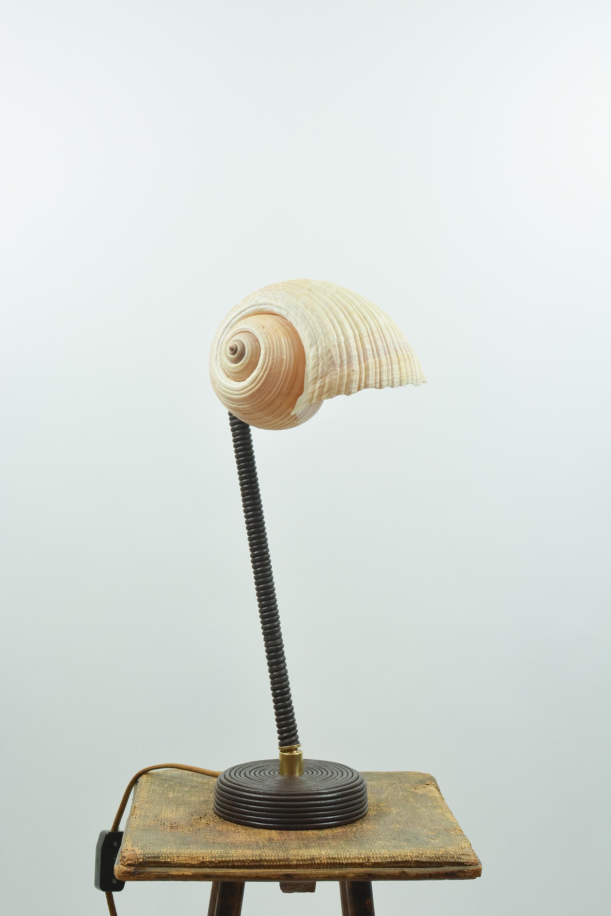 L'Escargot Lampe à poser en cuir Brown enroulé avec abat-jour en escargot de mer naturel en vente 3
