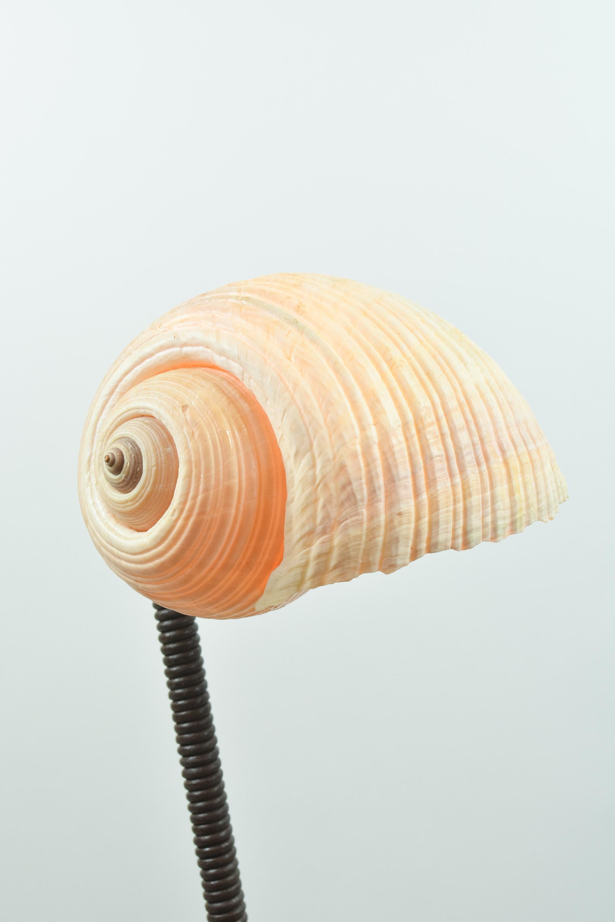L'Escargot Lampe à poser en cuir Brown enroulé avec abat-jour en escargot de mer naturel en vente 5