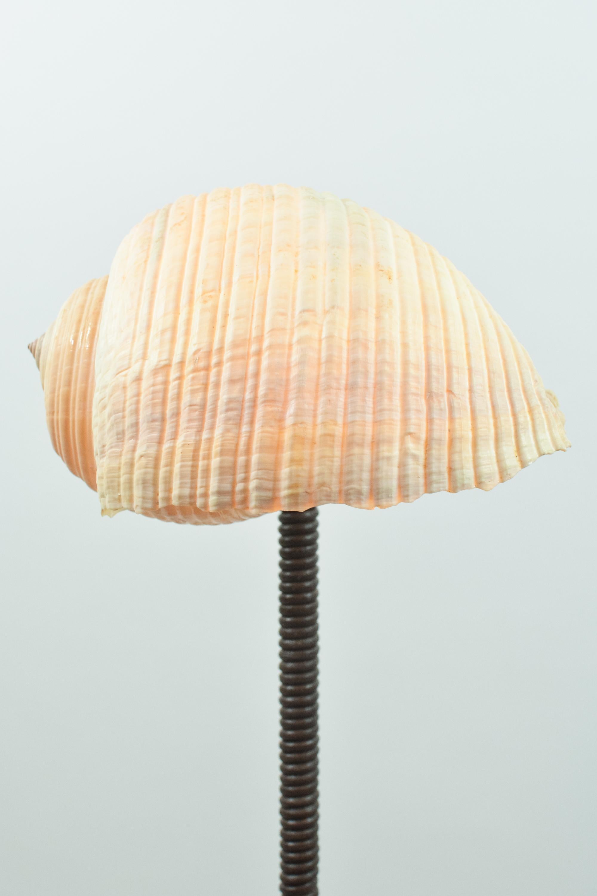 L'Escargot Lampe à poser en cuir Brown enroulé avec abat-jour en escargot de mer naturel en vente 7