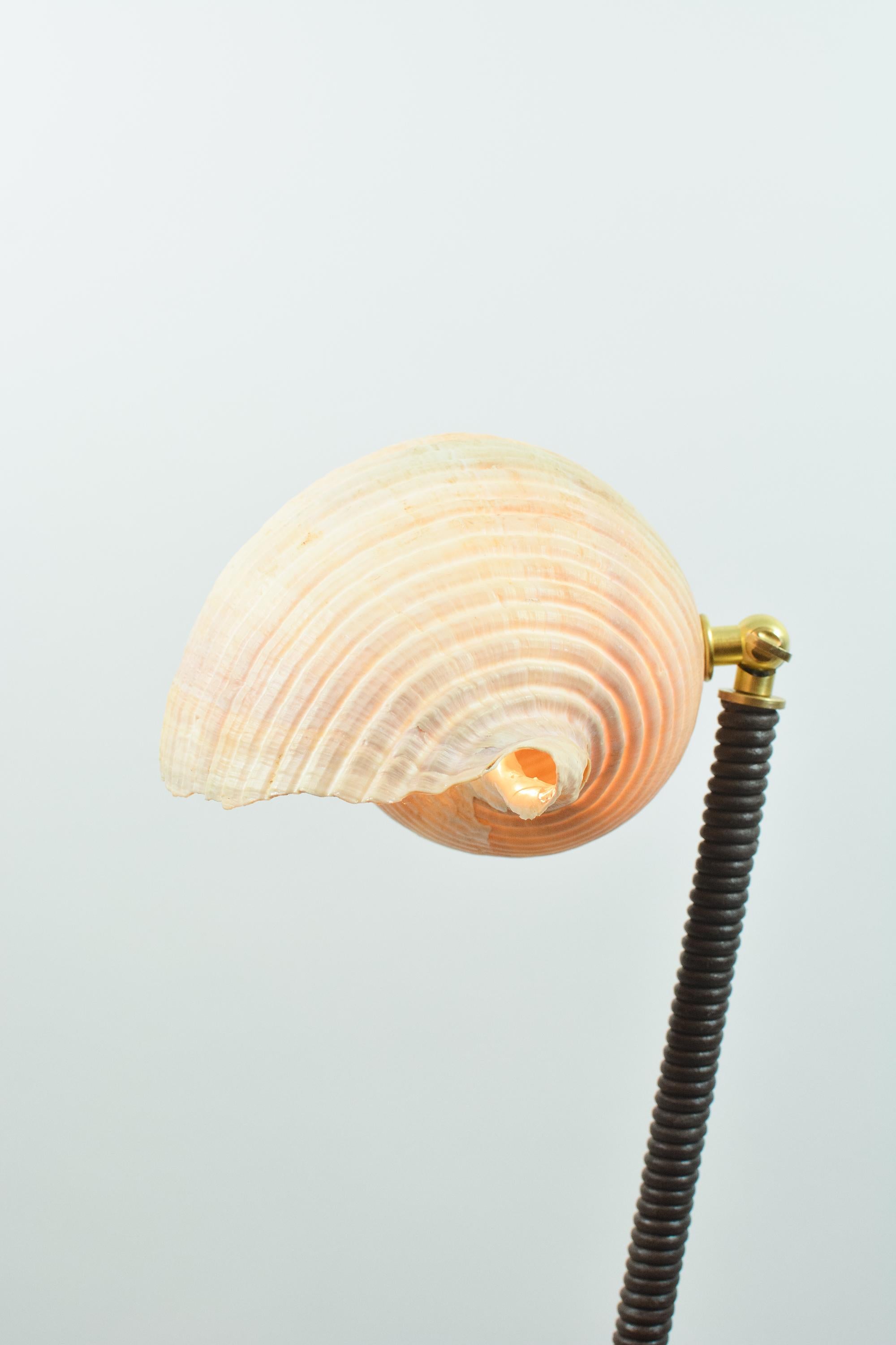 L'Escargot Lampe à poser en cuir Brown enroulé avec abat-jour en escargot de mer naturel en vente 8