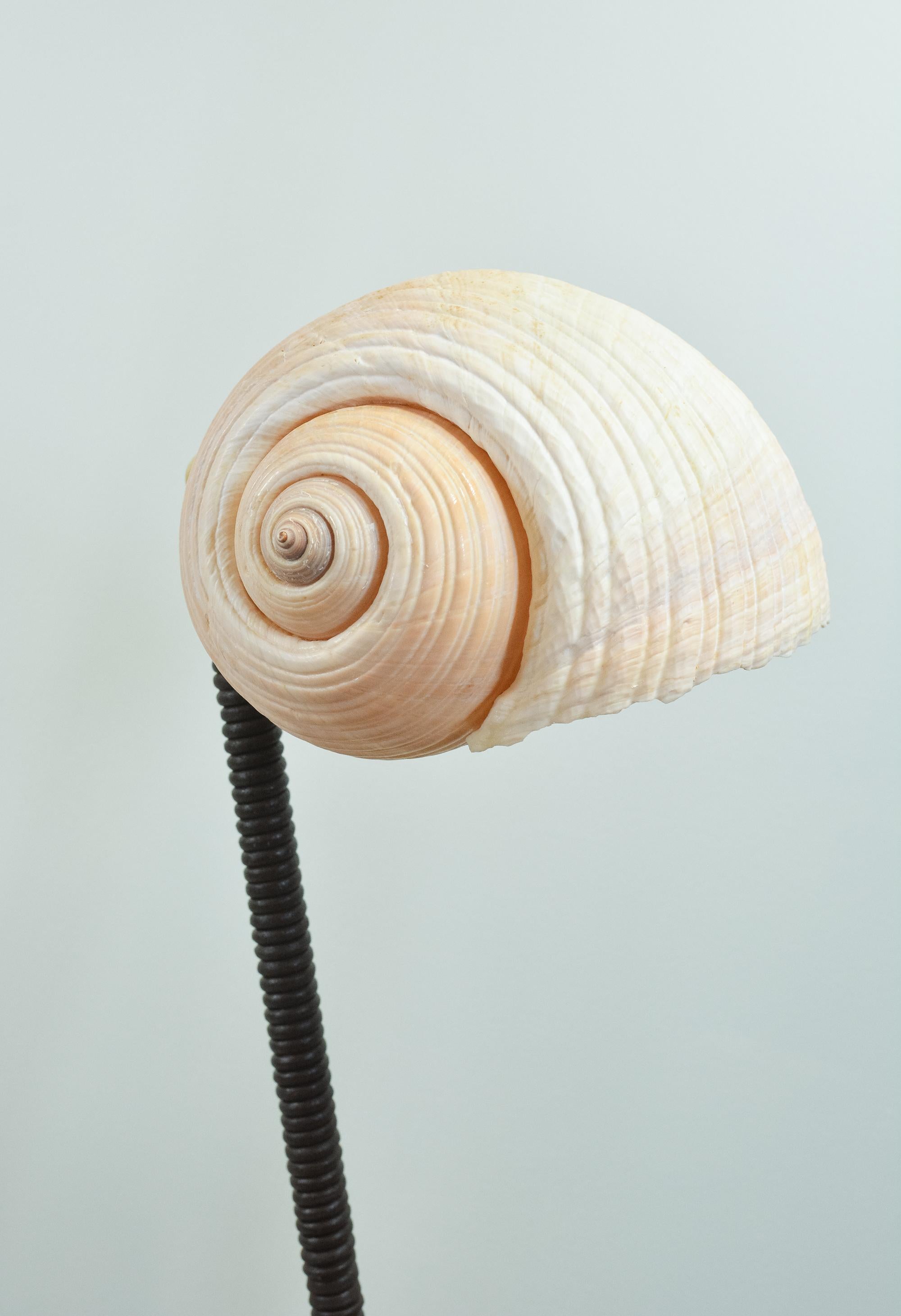 L'Escargot Lampe à poser en cuir Brown enroulé avec abat-jour en escargot de mer naturel en vente 9