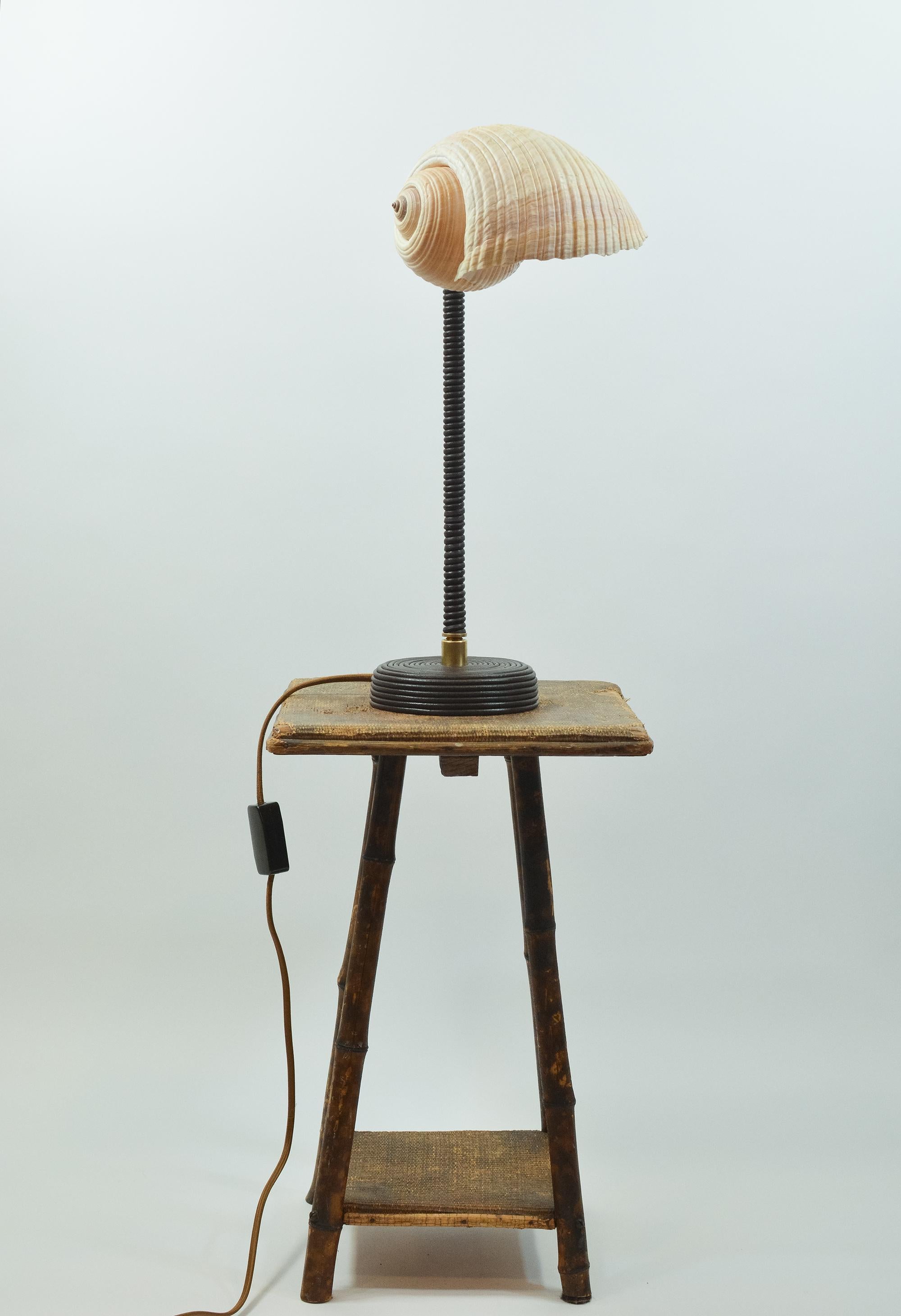 L'Escargot Lampe à poser en cuir Brown enroulé avec abat-jour en escargot de mer naturel en vente 10