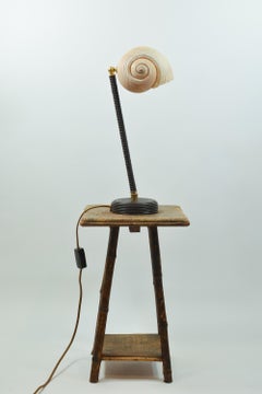 L’Escargot Table Lamp in Coiled Brown Leather with Natural Sea Snail Shade