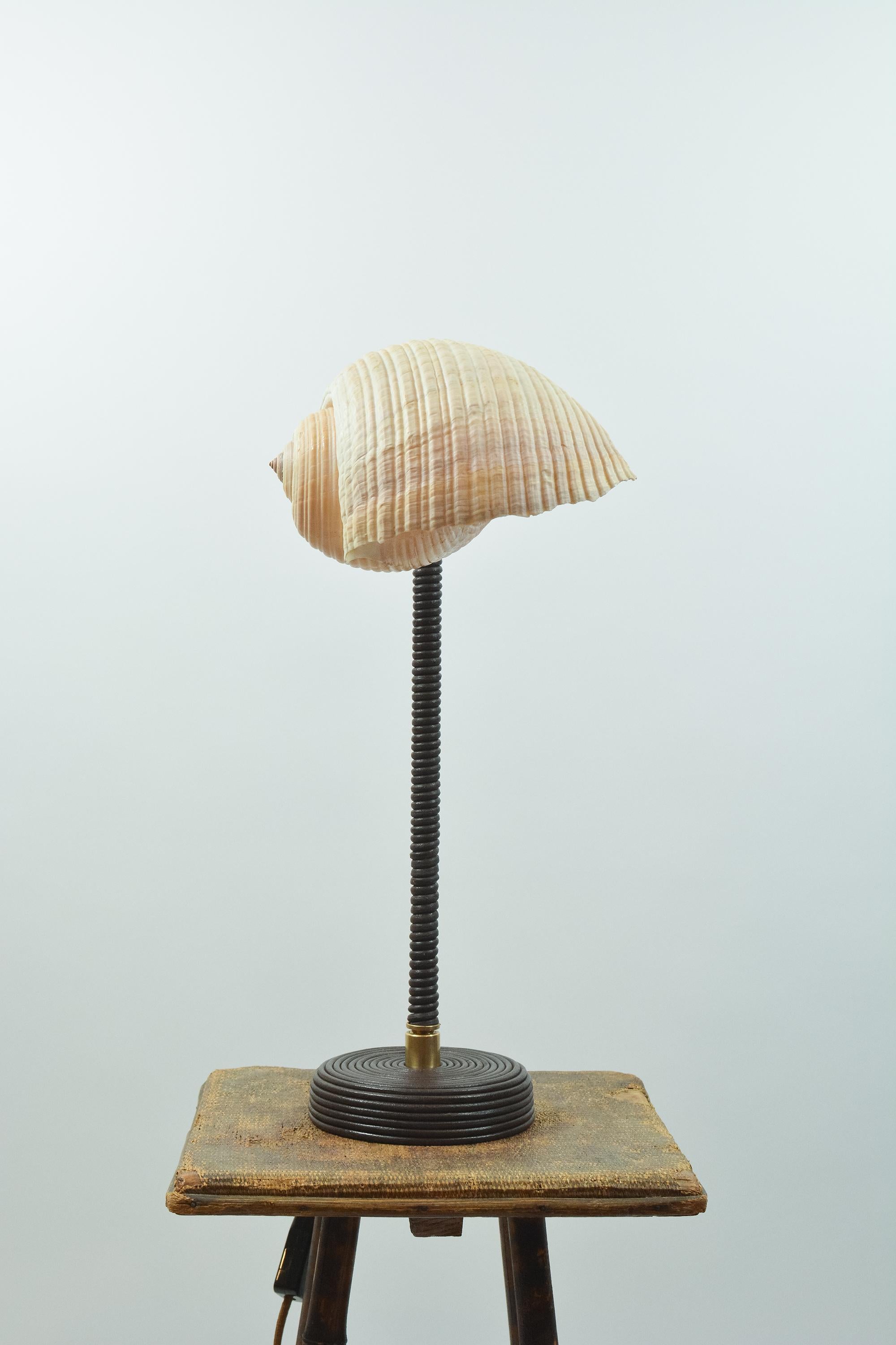 Mid-Century Modern L'Escargot Lampe à poser en cuir Brown enroulé avec abat-jour en escargot de mer naturel en vente