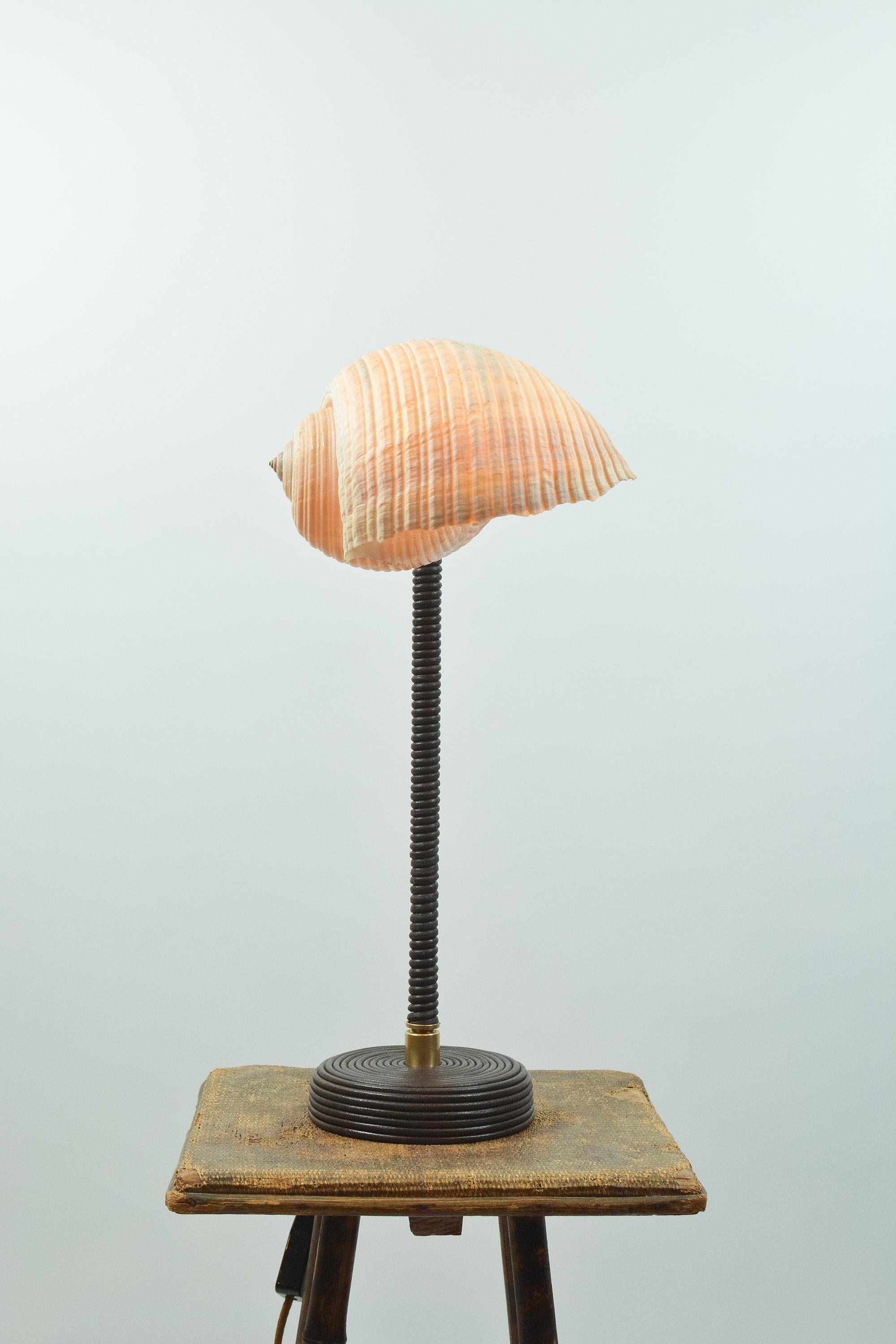 Américain L'Escargot Lampe à poser en cuir Brown enroulé avec abat-jour en escargot de mer naturel en vente