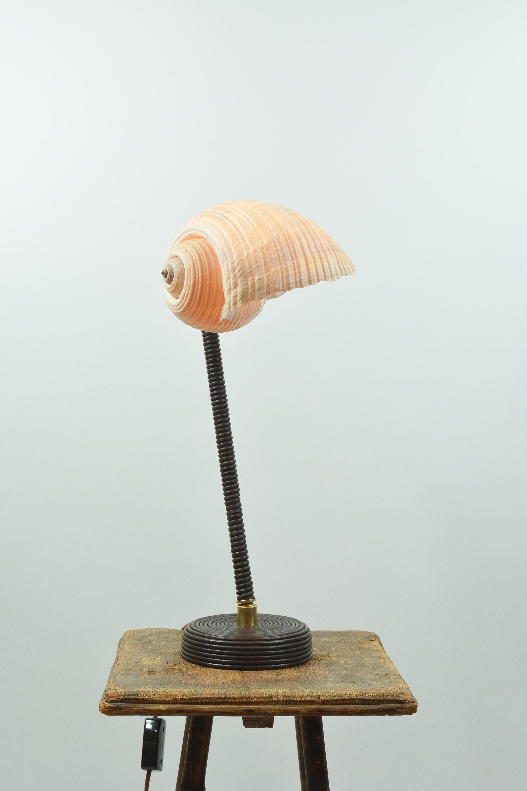 Fait main L'Escargot Lampe à poser en cuir Brown enroulé avec abat-jour en escargot de mer naturel en vente