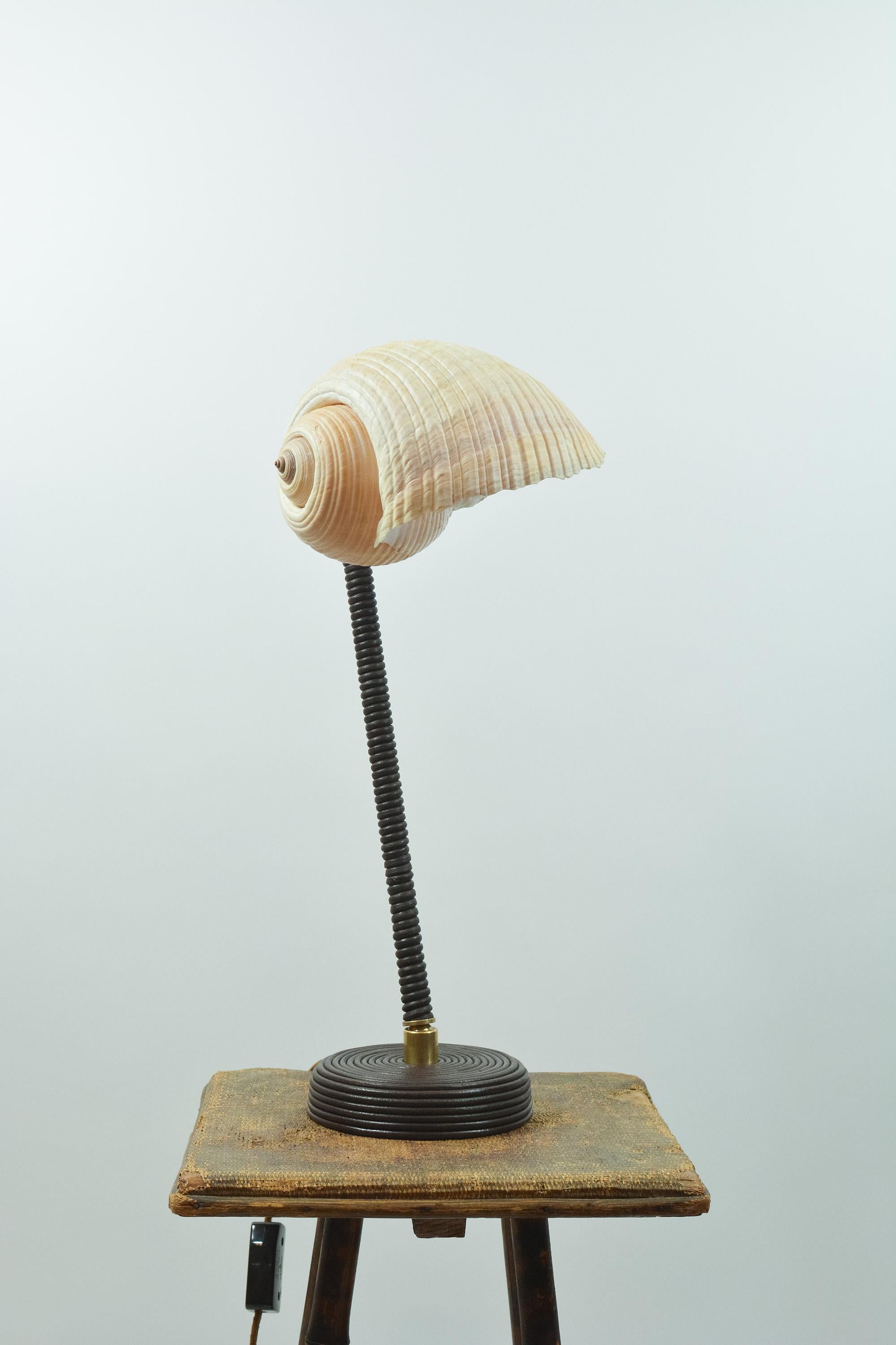 L'Escargot Lampe à poser en cuir Brown enroulé avec abat-jour en escargot de mer naturel Neuf - En vente à Brooklyn, NY