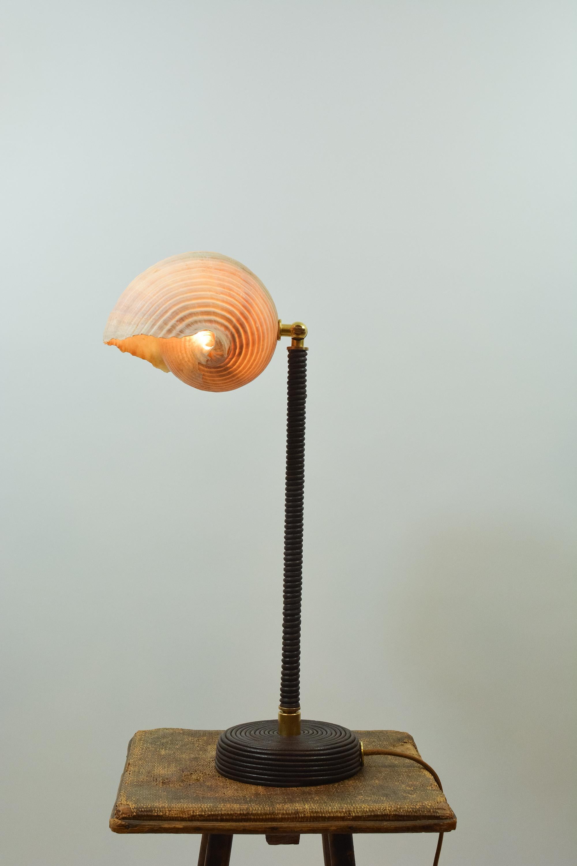 XXIe siècle et contemporain L'Escargot Lampe à poser en cuir Brown enroulé avec abat-jour en escargot de mer naturel en vente