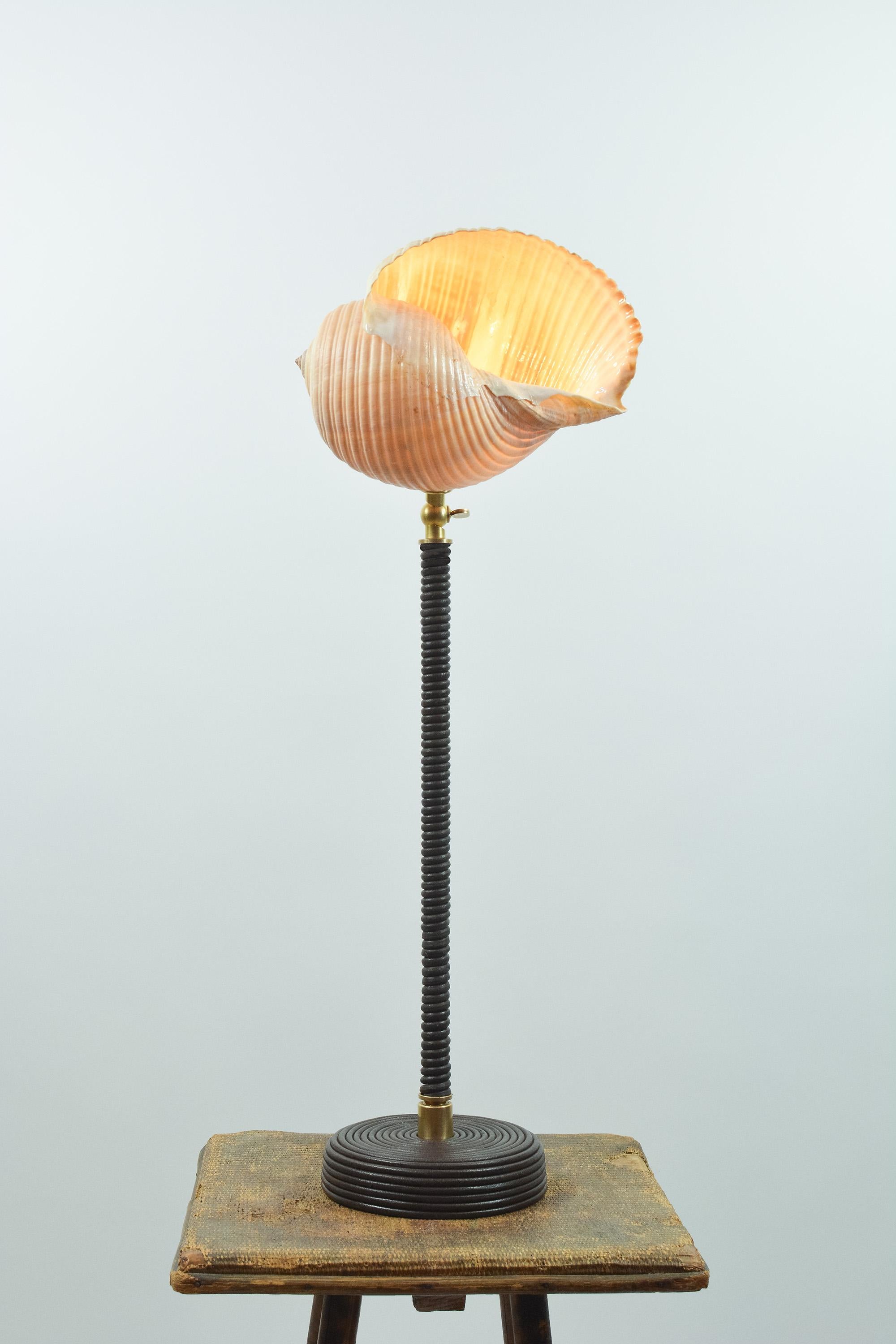 L'Escargot Lampe à poser en cuir Brown enroulé avec abat-jour en escargot de mer naturel en vente 1