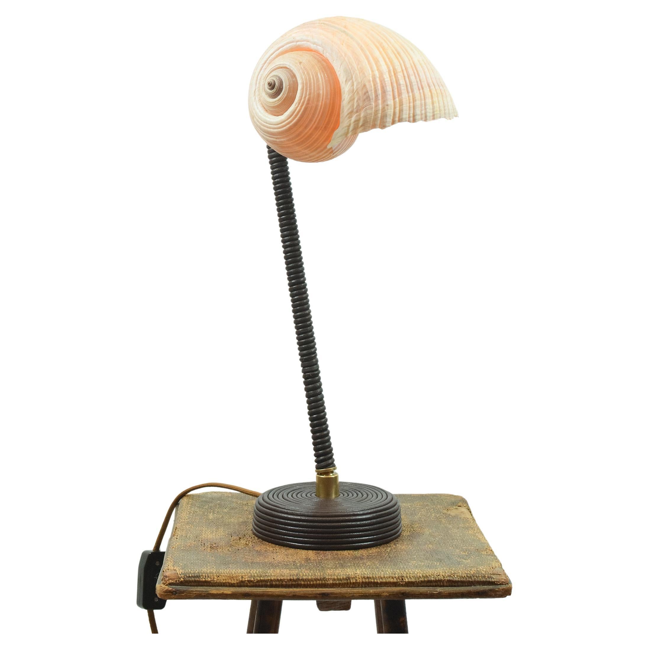 L'Escargot Lampe à poser en cuir Brown enroulé avec abat-jour en escargot de mer naturel en vente