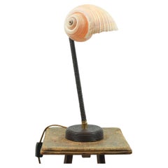 L’Escargot Table Lamp in Coiled Brown Leather with Natural Sea Snail Shade