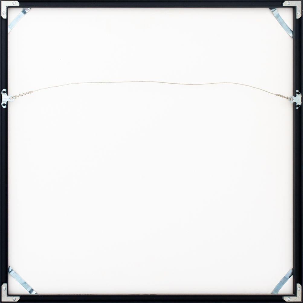 Ecstasy Skeletons on a Horse For Sale 3