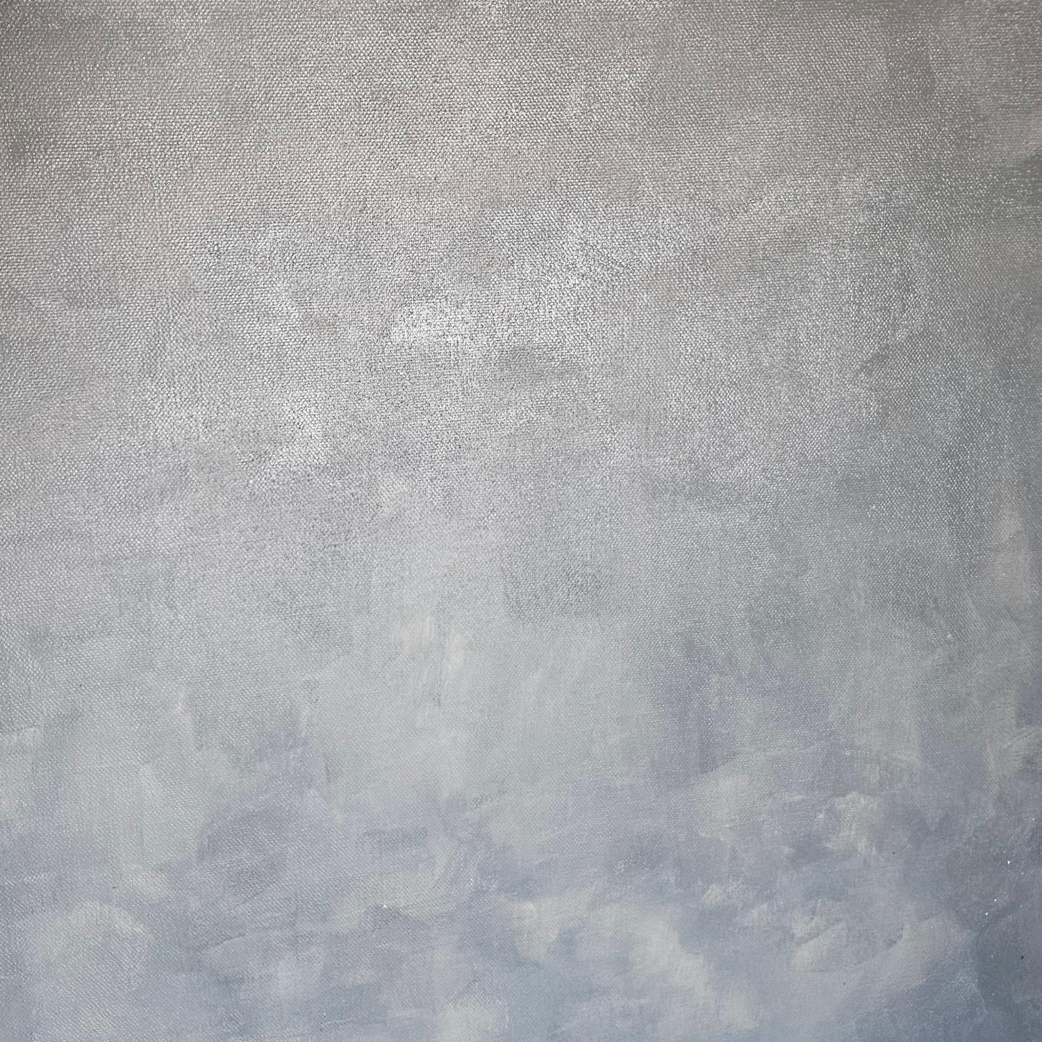 <p>Kommentare des Künstlers<br>Sanfte Abstufungen von Grau, Weiß und Blau erzeugen eine neblige, ätherische Atmosphäre. Die glatten und doch strukturierten Oberflächen zeigen wolkenähnliche Formen, die ineinander übergehen und Ruhe und Introspektion