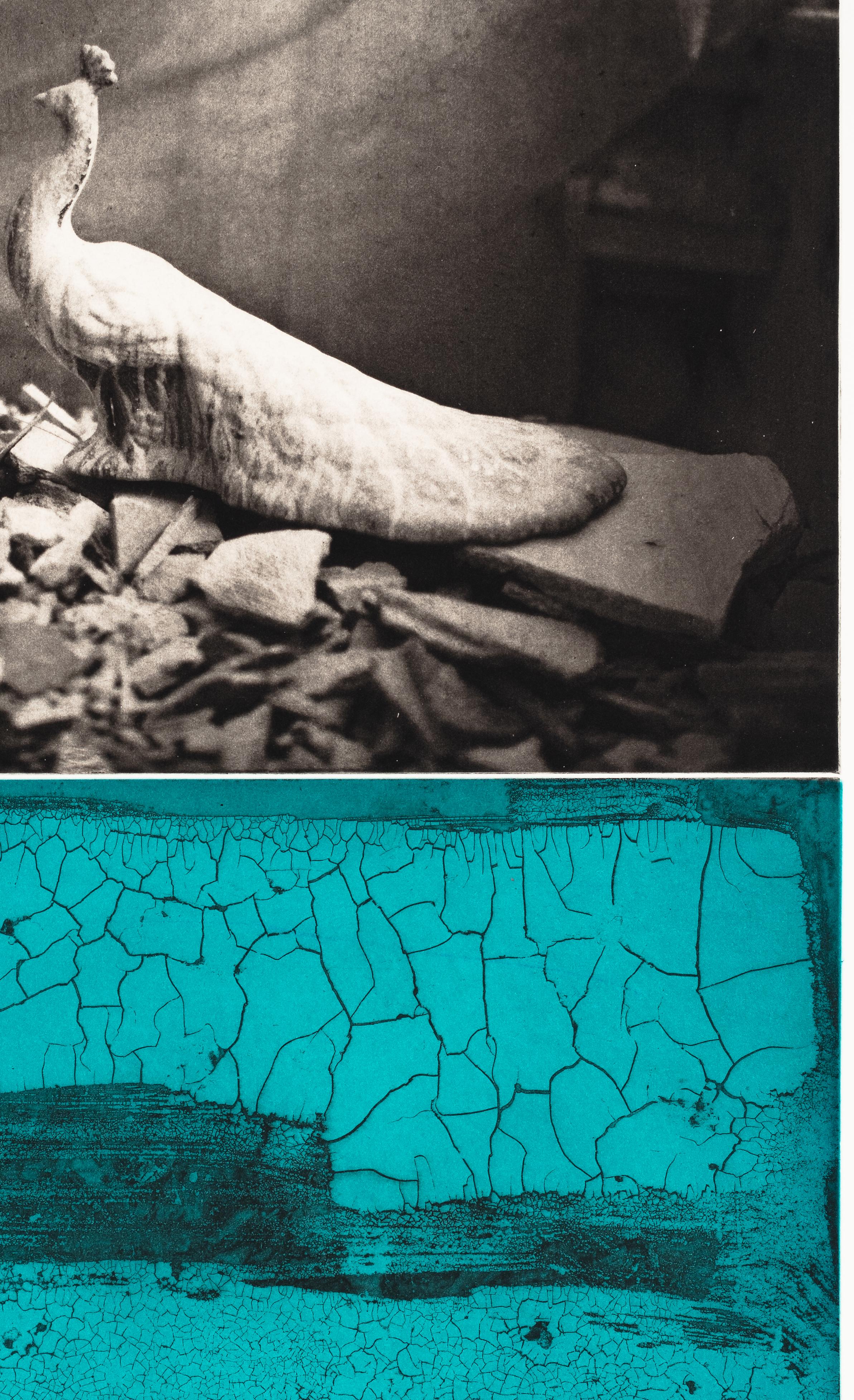 Diese Bilder gehören zu einer Serie, die versucht, die Grenzen zwischen aktuellen politischen Ereignissen und Kindheitserinnerungen zu verwischen und die Zeit neu zu betrachten.  Die Betonung des Mythischen kommt sowohl in der gedruckten Fotogravur