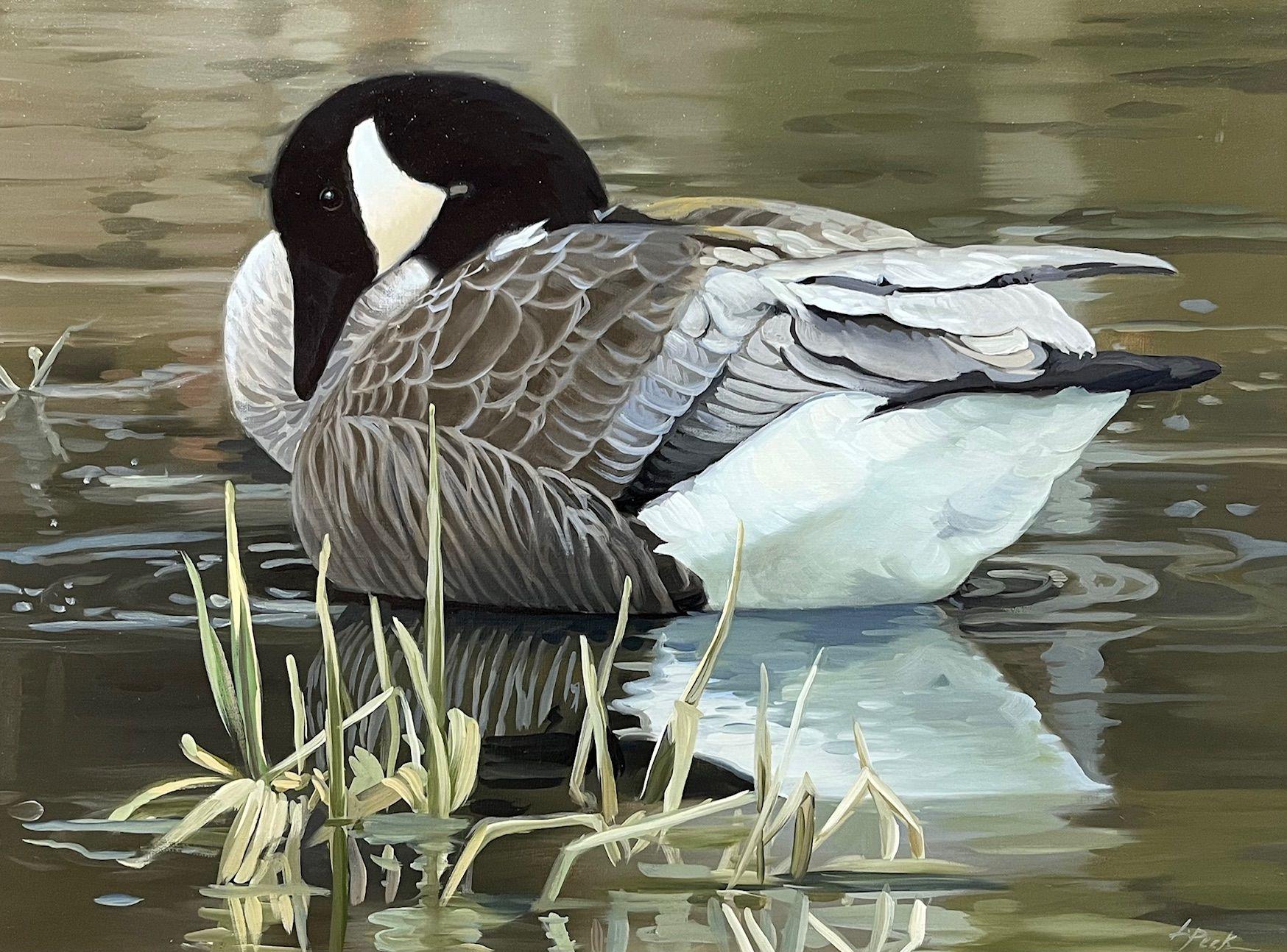 "Canadian Goose", is an 18x24 oil painting on board by artist Leslie Peck featuring a quiet moment of stillness as a resting goose drifts gently across calm water. With its head tucked inward and feathers rendered in careful, layered detail, the