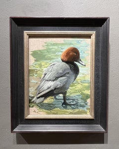Leslie Peck, "Common Pochard" 10x8 Duck Bird Portrait Landscape Oil Painting