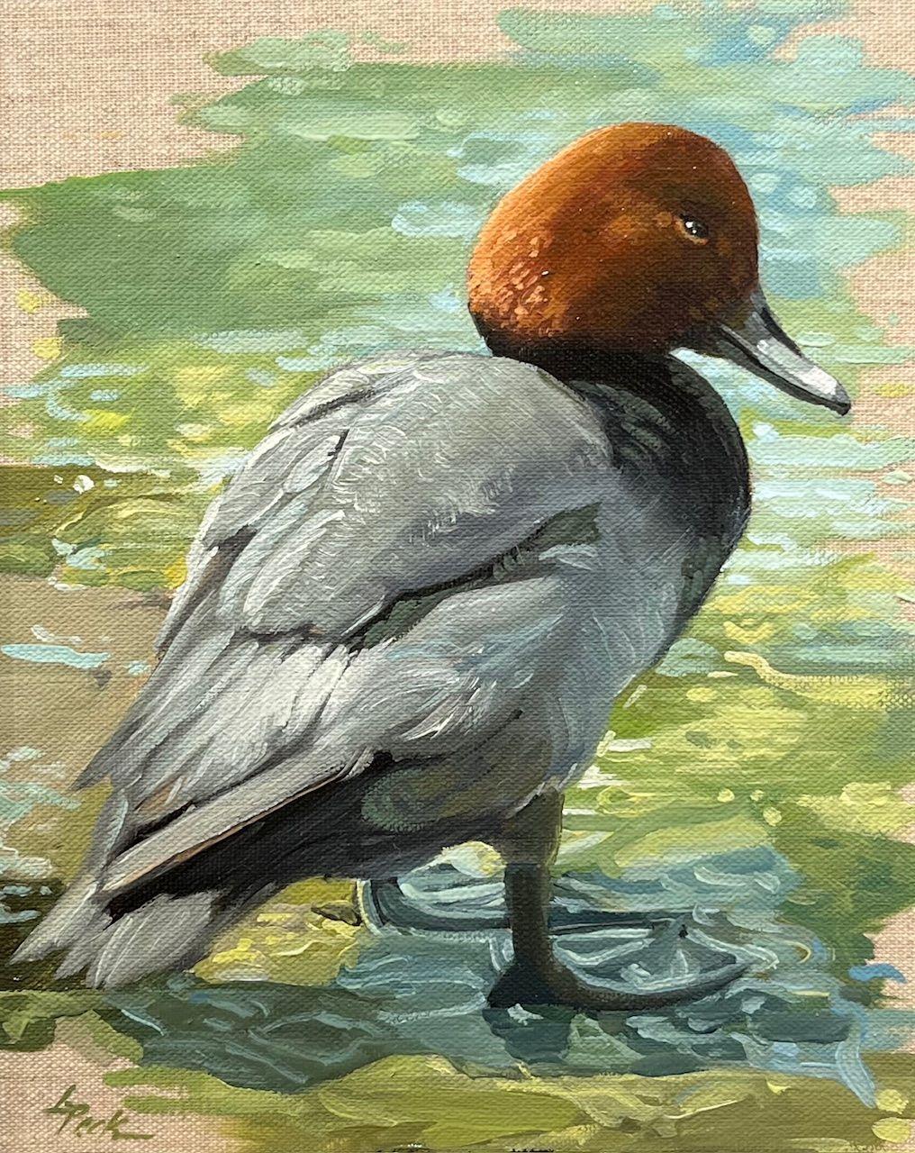 "Common Pochard", is an 10x8 oil painting on board by artist Leslie Peck featuring a striking portrayal of the Common Pochard captures the quiet elegance of this distinctive diving duck, known for its rich chestnut head, dark breast, and soft grey