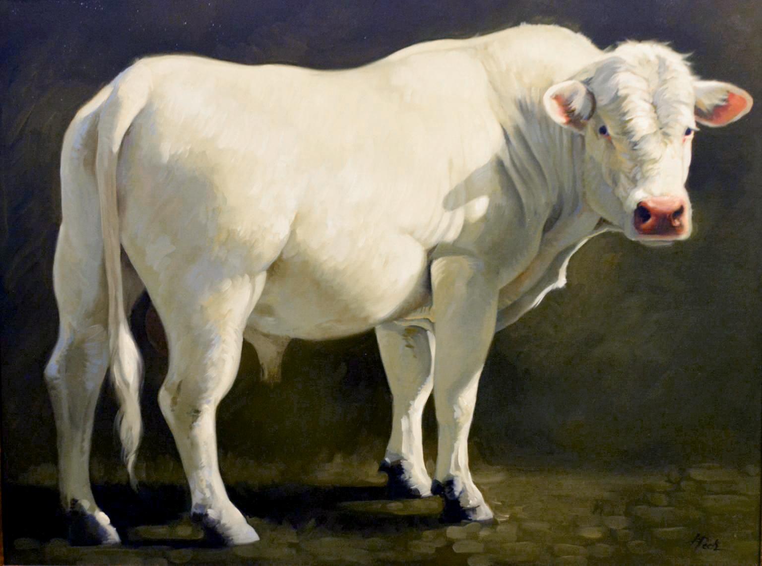 "French White", is a 30x40 oil painting on canvas by artist Leslie Peck featuring a majestic white bull standing in a stately, regal pose. A dark background with a grass covered foreground provides drama and mystery.  Peck's use of hand-mixed paint