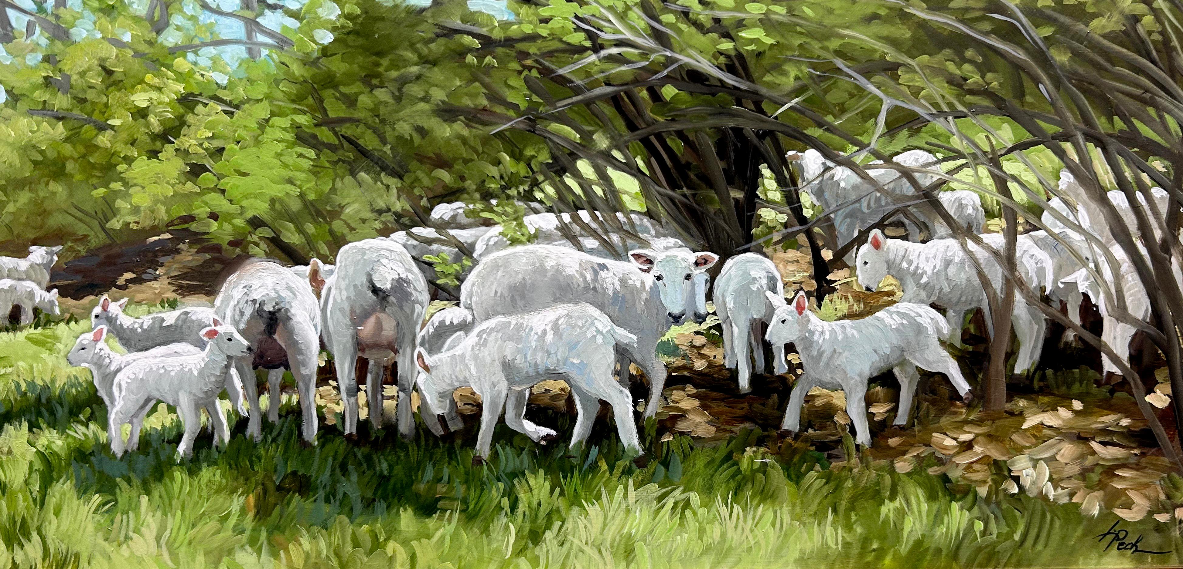 "Freshly Shorn" è un dipinto a olio su tavola 12x24 dell'artista Leslie Peck che raffigura un vivace gregge di pecore e agnelli appena tosati. Gli animali sono incorniciati da un baldacchino di alberi e prati verdi con macchie di luce solare. L'uso