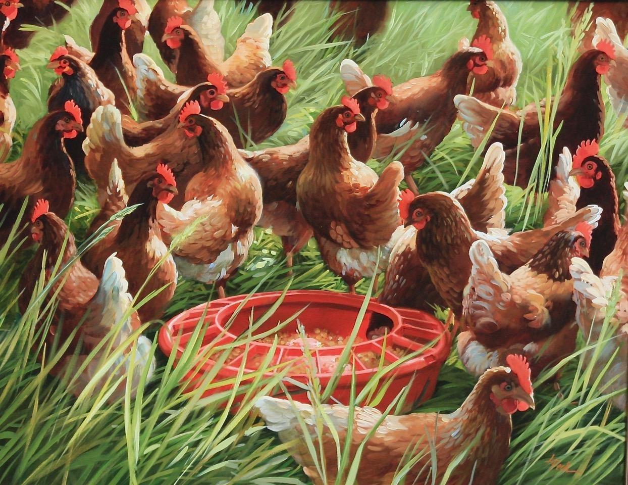  "Supper Time", est une peinture à l'huile sur panneau 24x30 de l'artiste Leslie Peck représentant une couvée de poulets picorant dans la cour en attendant l'heure du repas. Une grande mangeoire en métal rouge se trouve dans l'herbe et attend d'être