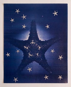 Seasons 1981 Photo Color Copier Print Photograph Museum Collected Art Xerography