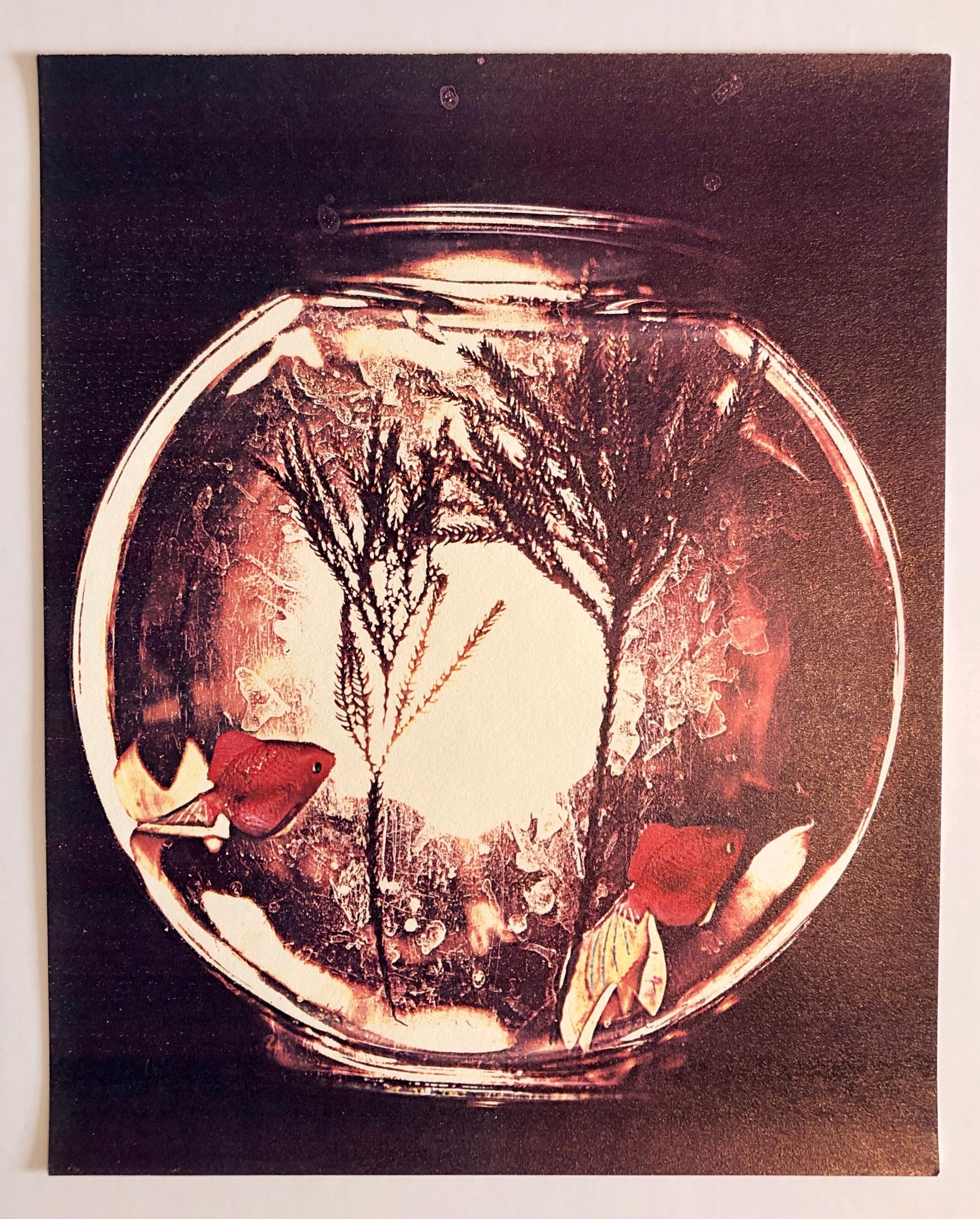 Estaciones 1981 Foto Color Copiadora Impresión Fotografía Museo Arte Coleccionismo Xerografía - Print de Leslie Schiff