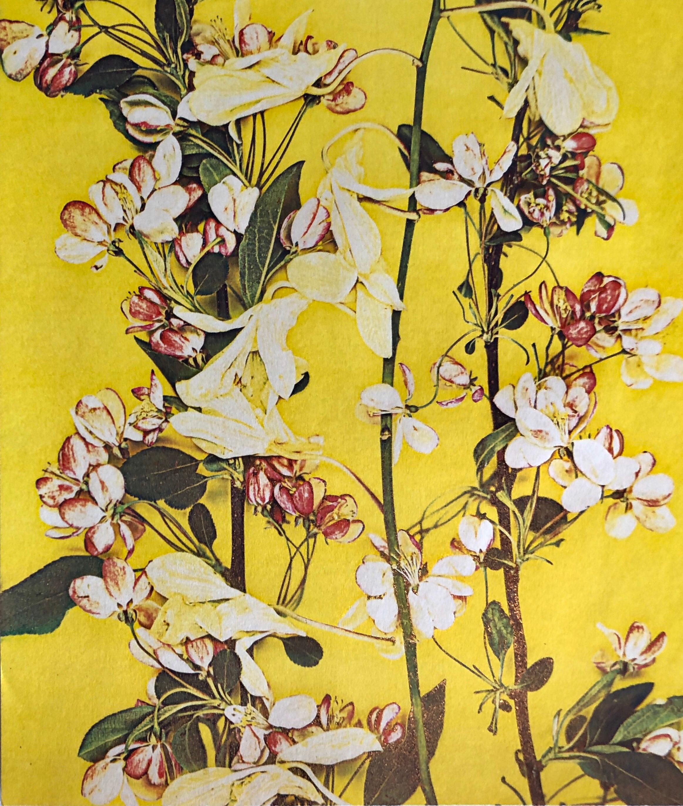Photographie couleur Copier Print Museum Collected Art Xerography Seasons 1981 - Jaune Color Photograph par Leslie Schiff