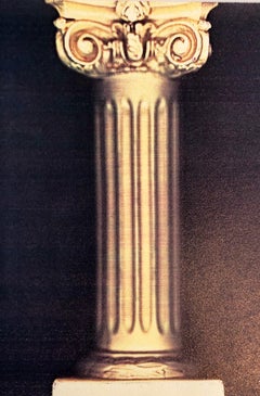 Seasons 1981 Photo Color Copier Print Photograph Museum Collected Art Xerography