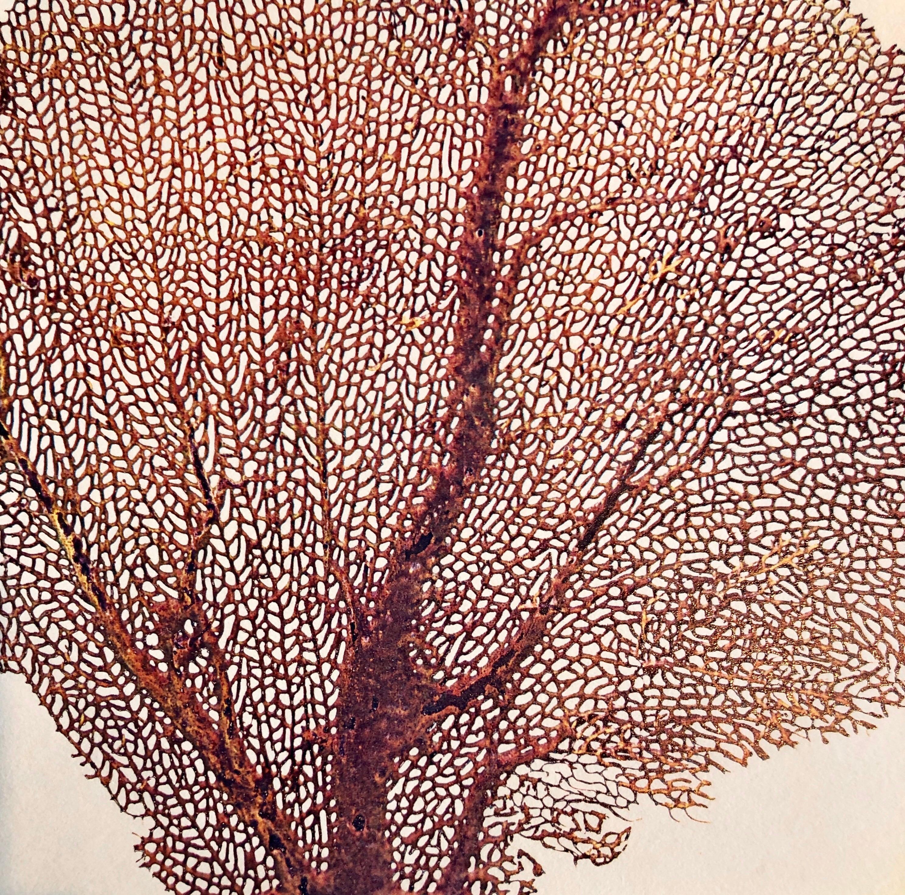 Photographie couleur Copier Print Museum Collected Art Xerography Seasons 1981 - Beige Color Photograph par Leslie Schiff