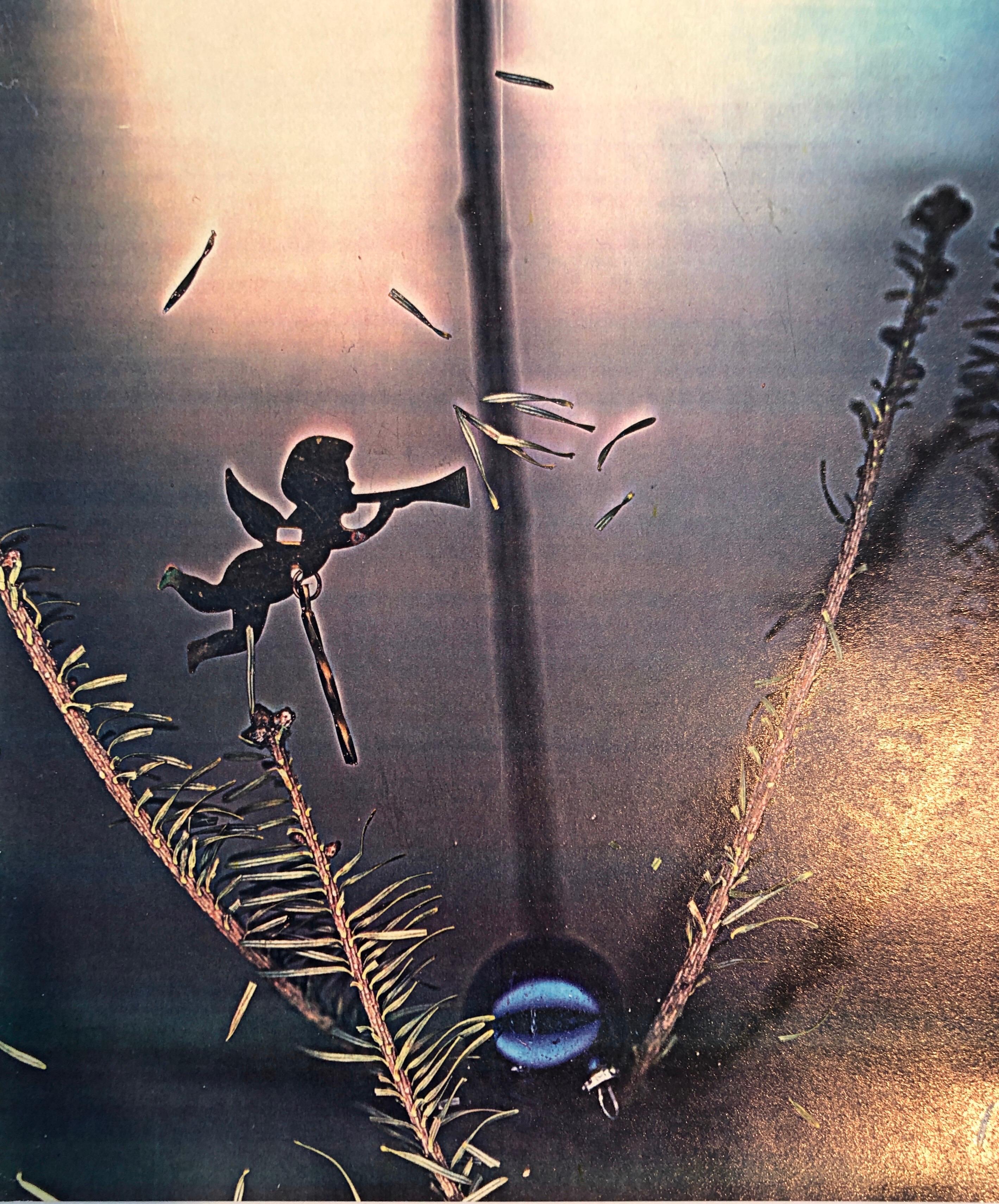 Photographie couleur Copier Print Museum Collected Art Xerography Seasons 1981 - Noir Color Photograph par Leslie Schiff